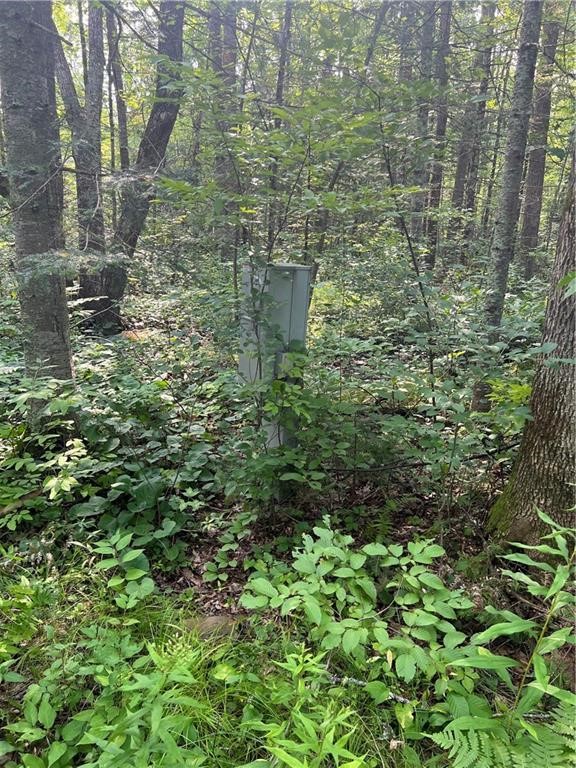 W8804 Timber Trail E Property Photo 6