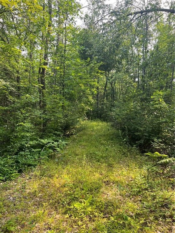 W8804 Timber Trail E Property Photo 7