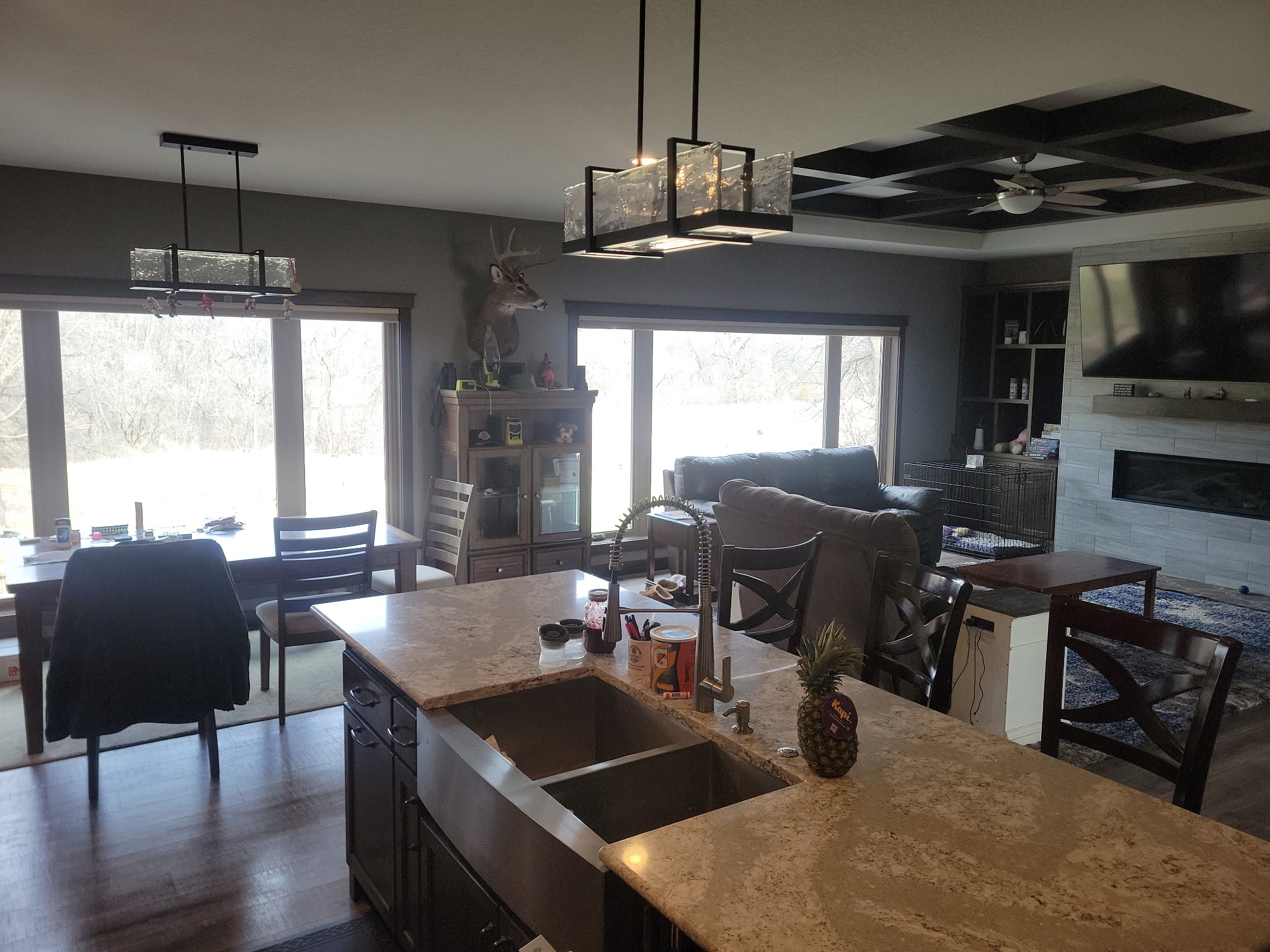 3482 Creek Ridge Drive Property Photo 2