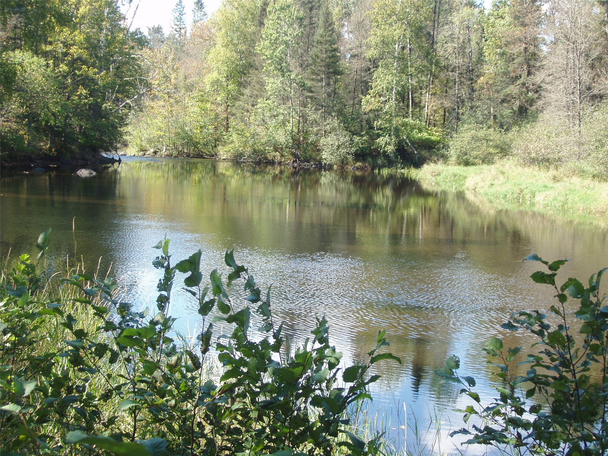 N15671 Evergreen Road Property Photo 1