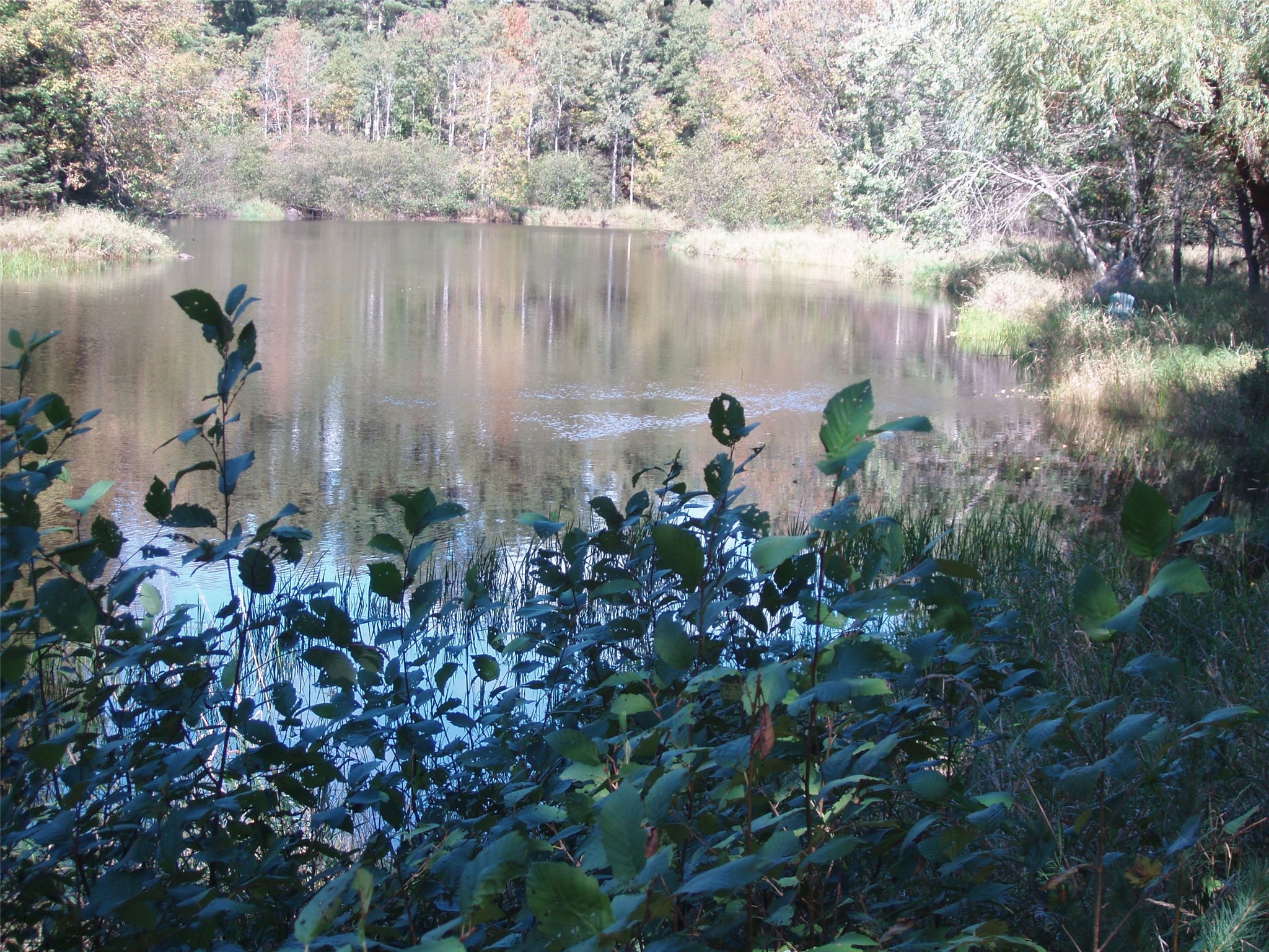 N15671 Evergreen Road Property Photo 3