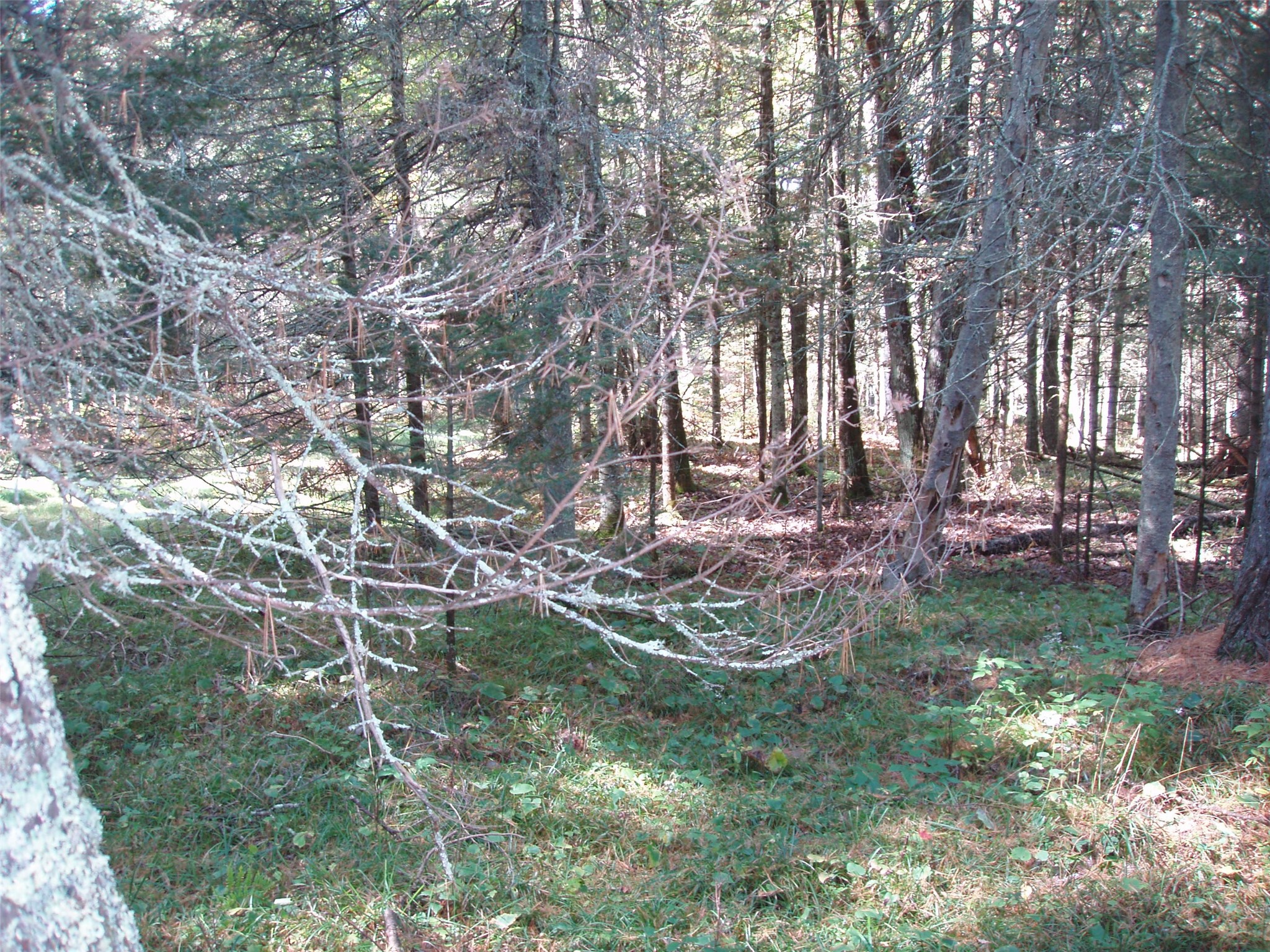 N15671 Evergreen Road Property Photo 10