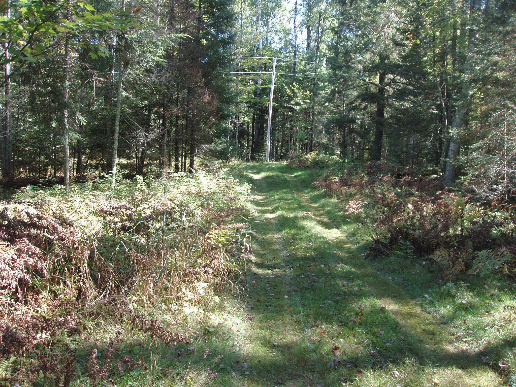 N15671 Evergreen Road Property Photo 11