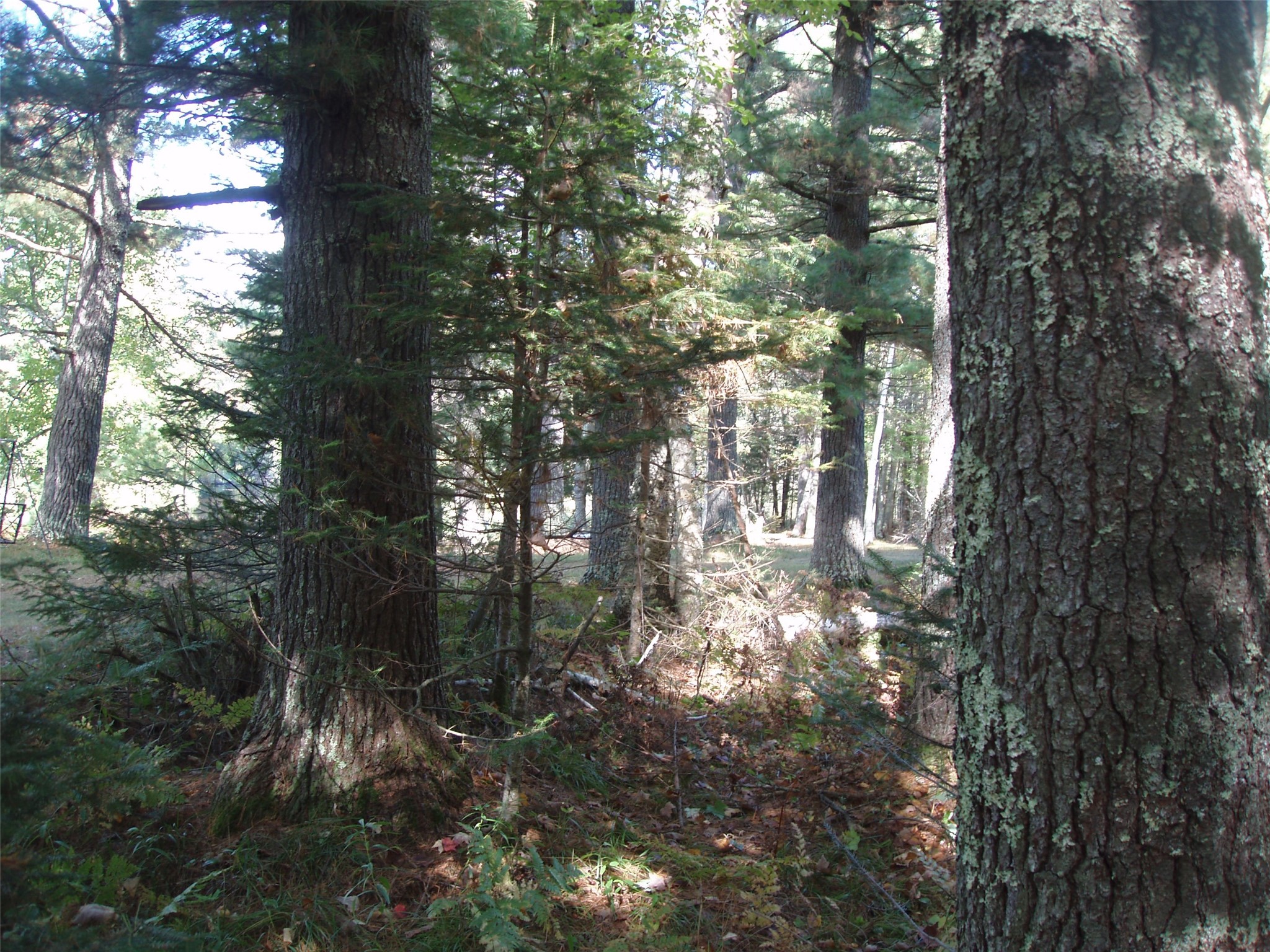 N15671 Evergreen Road Property Photo 23