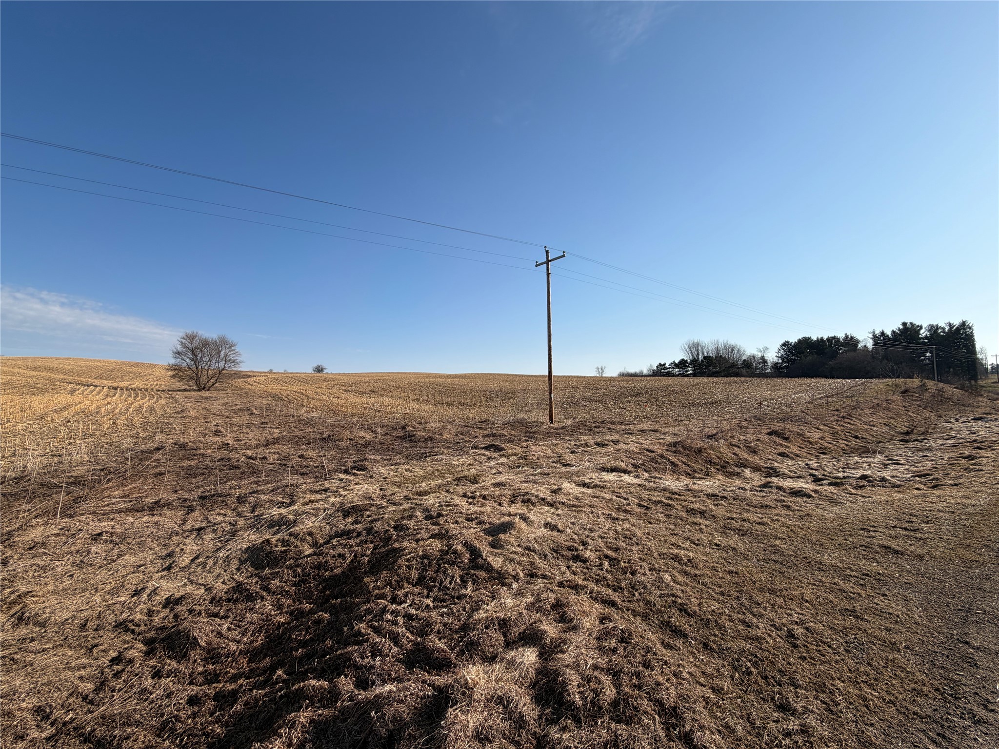 15 Acres County Highway G Property Photo 5