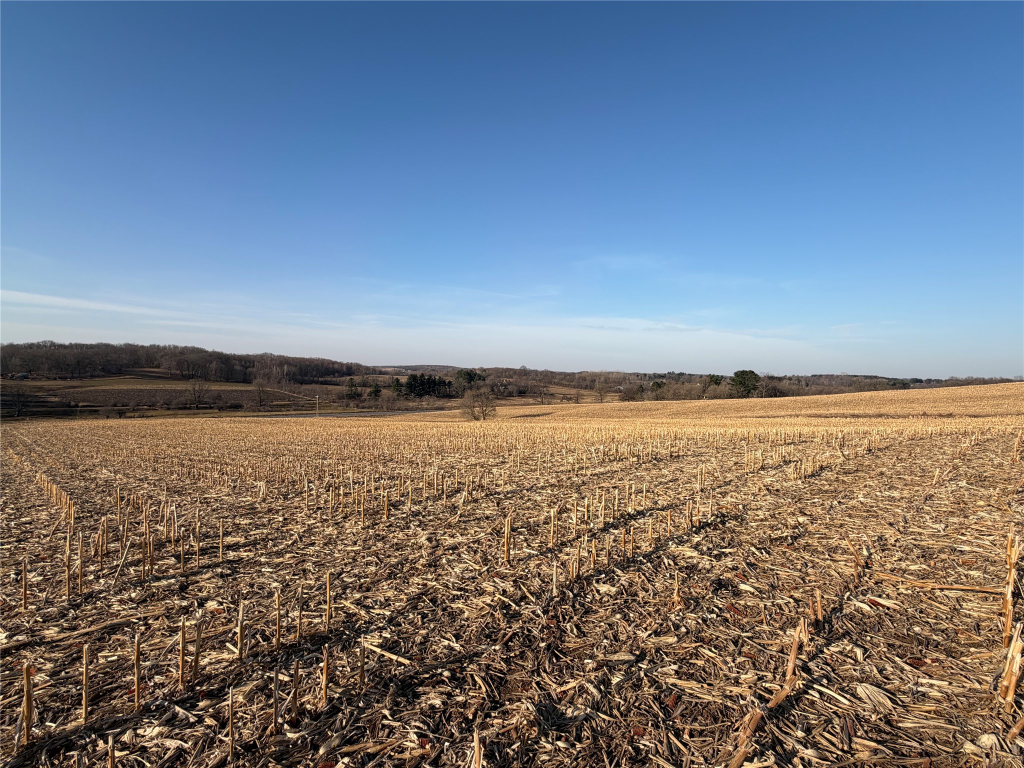 15 Acres County Highway G Property Photo 6