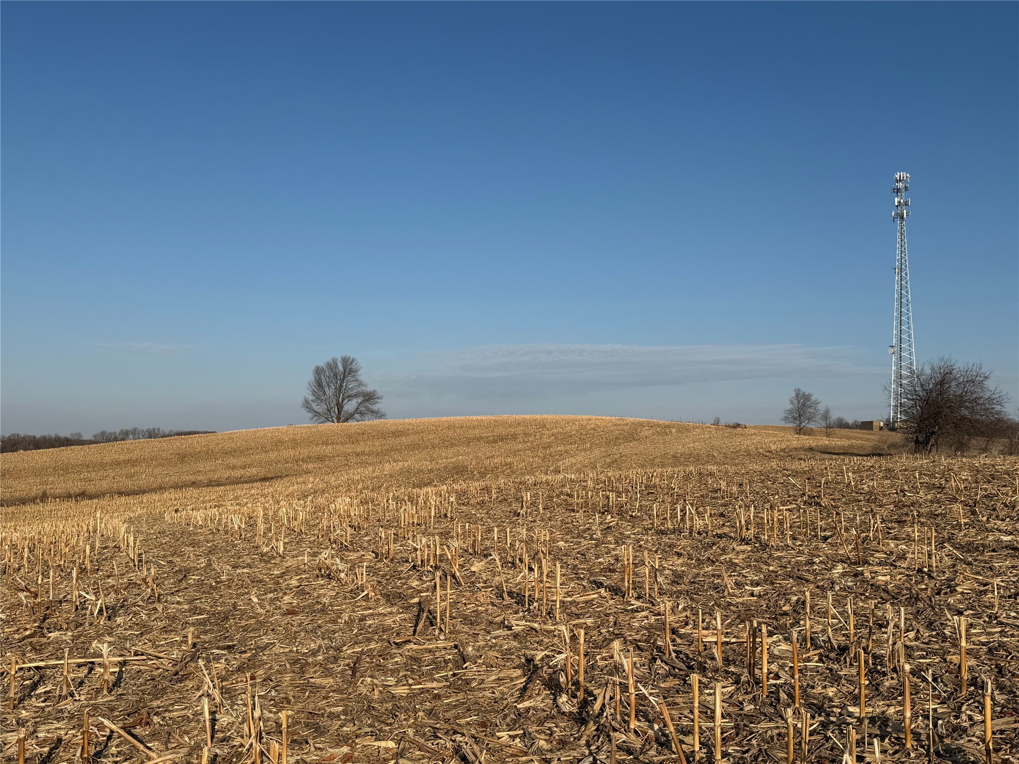 15 Acres County Highway G Property Photo 7