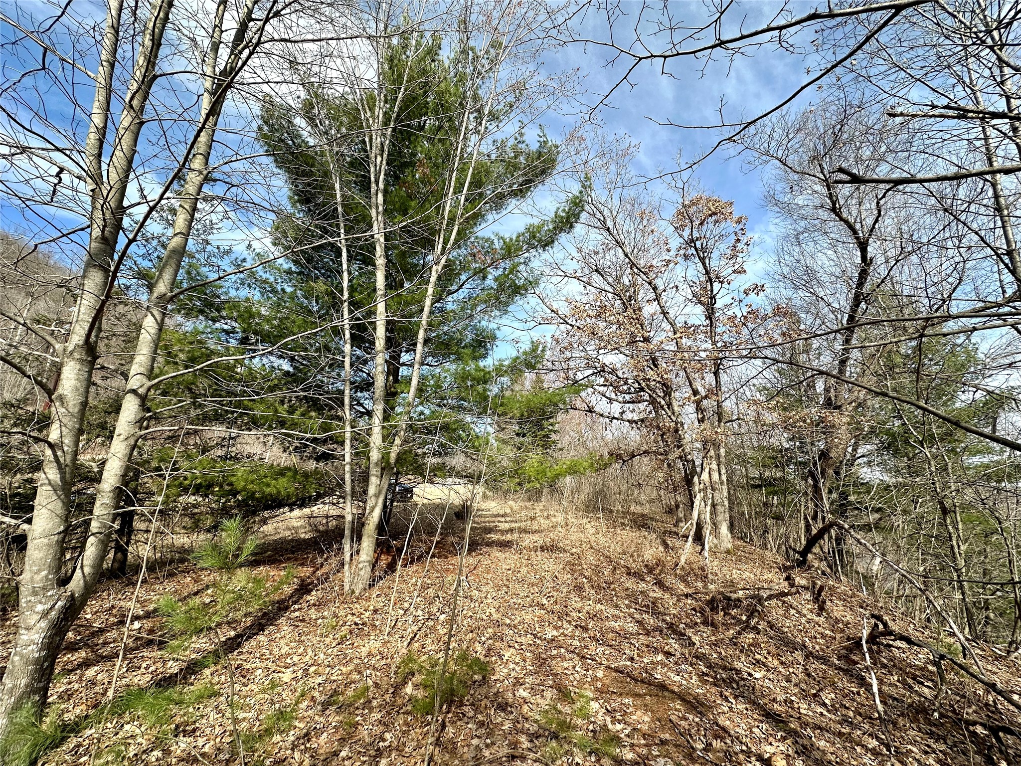 N4548 County Road N Property Photo 10