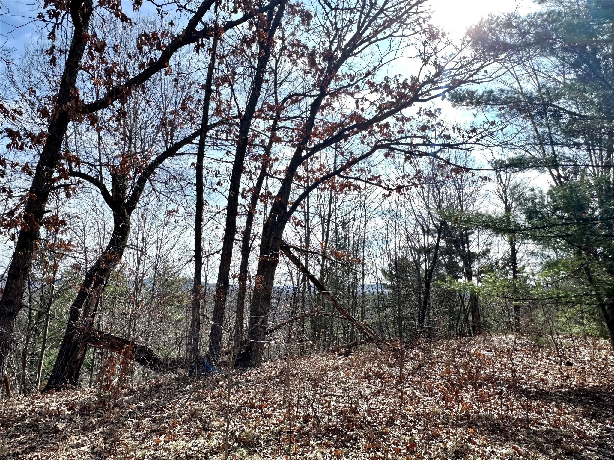 N4548 County Road N Property Photo 11