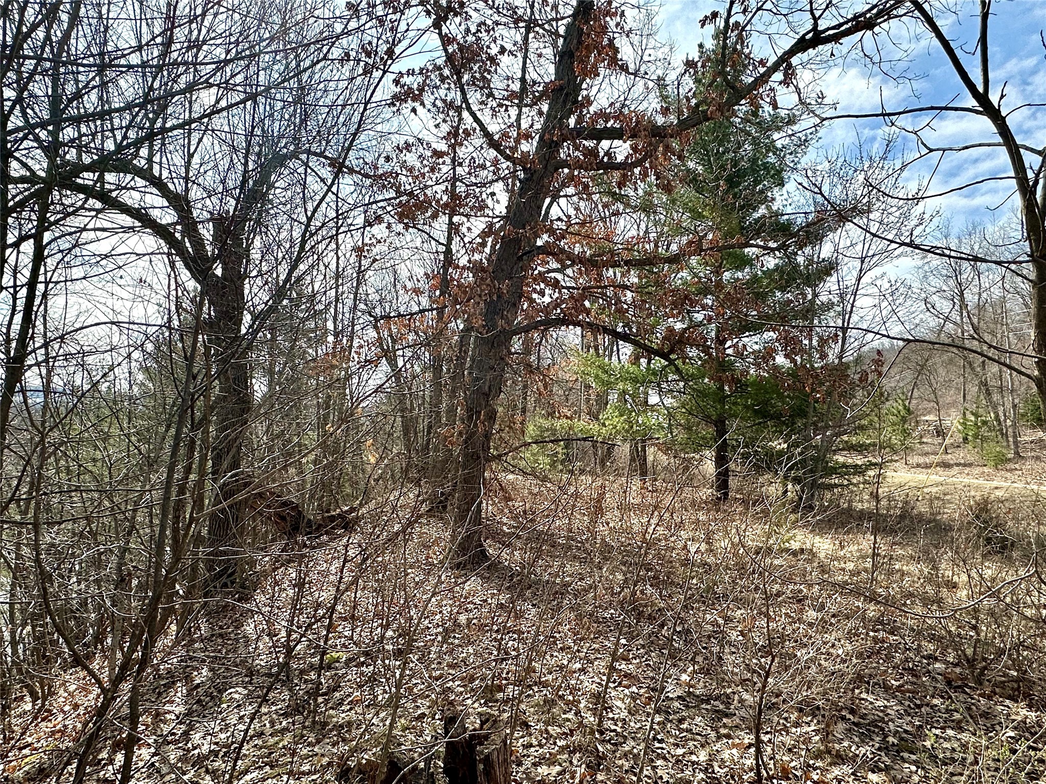 N4548 County Road N Property Photo 16