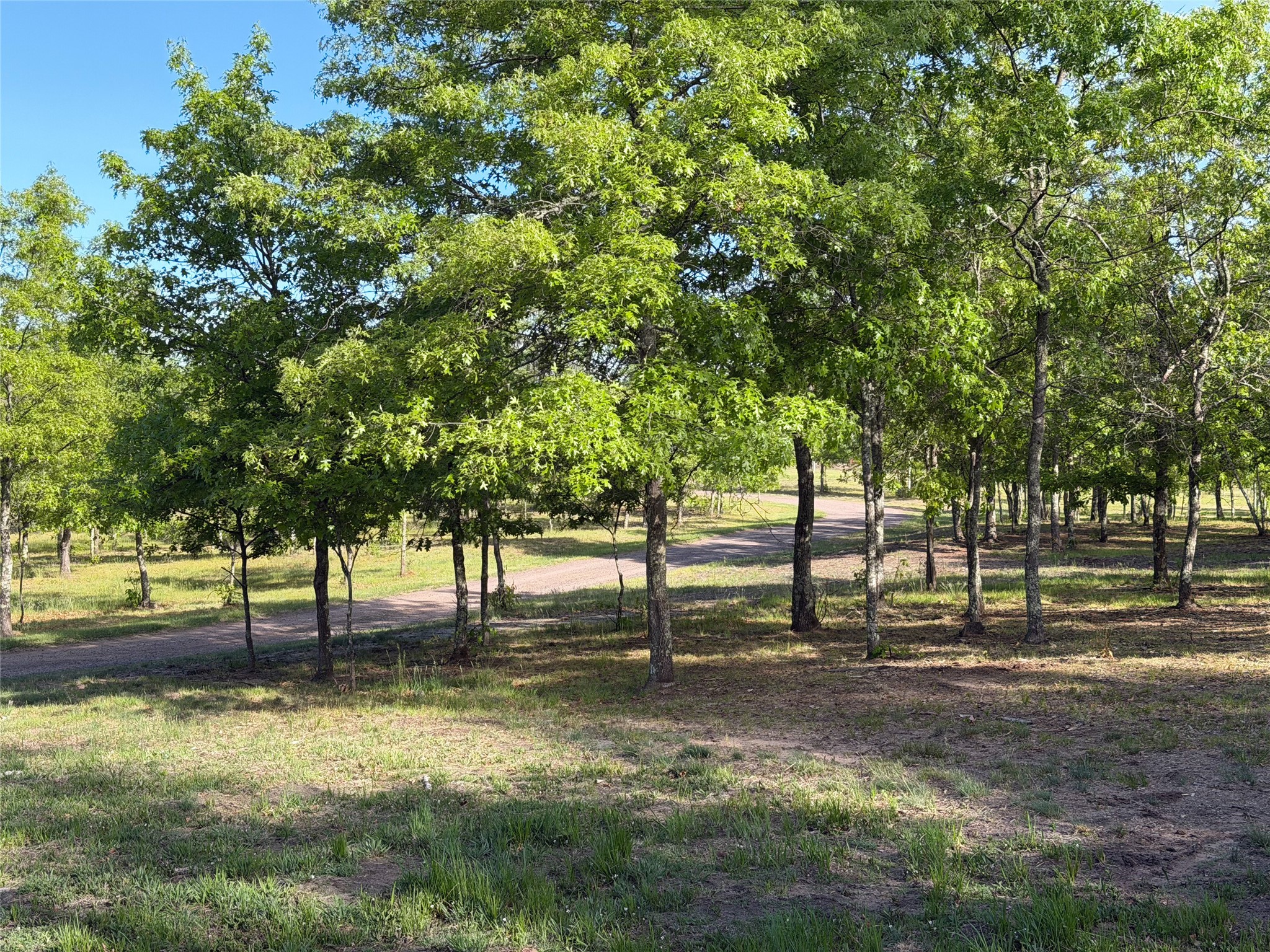 11702 East Mail Road Property Photo 13