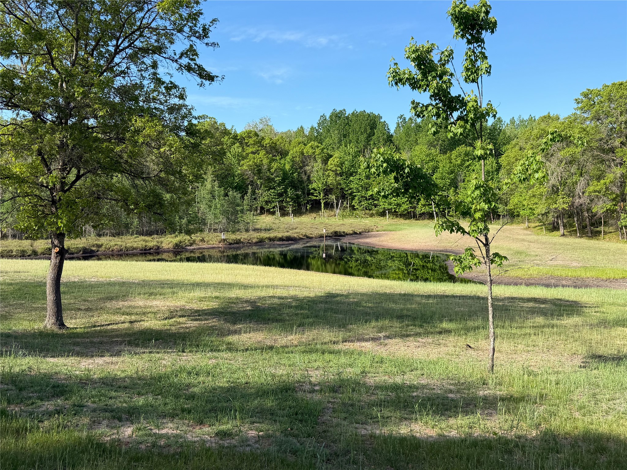 11702 East Mail Road Property Photo 16
