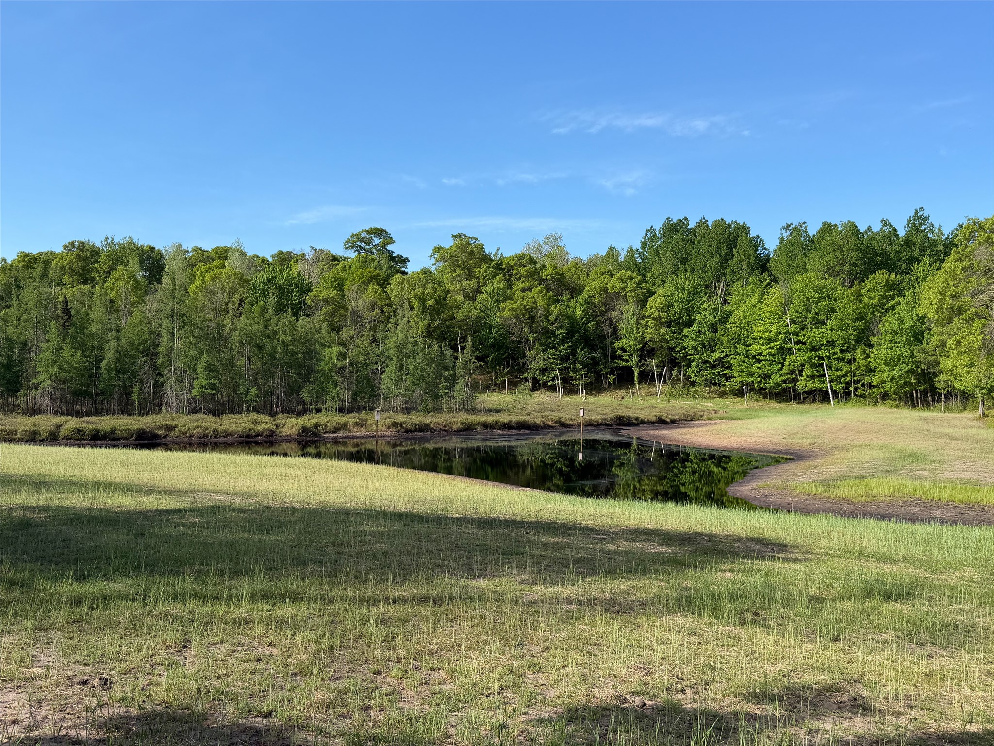11702 East Mail Road Property Photo 20