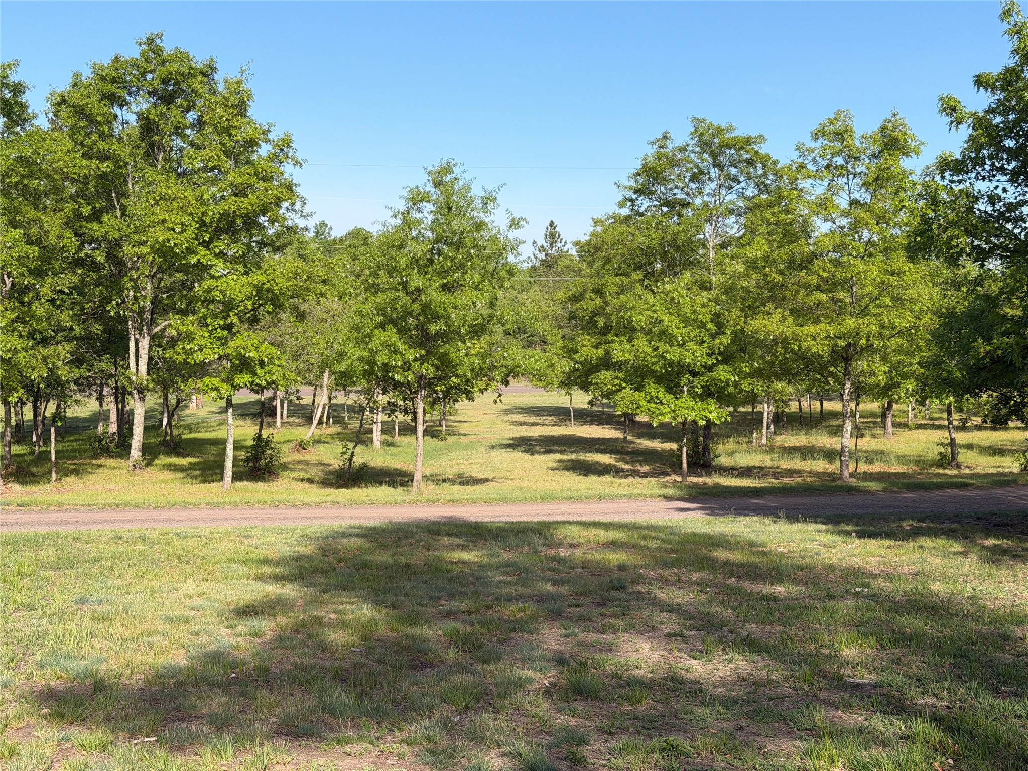 11702 East Mail Road Property Photo 25