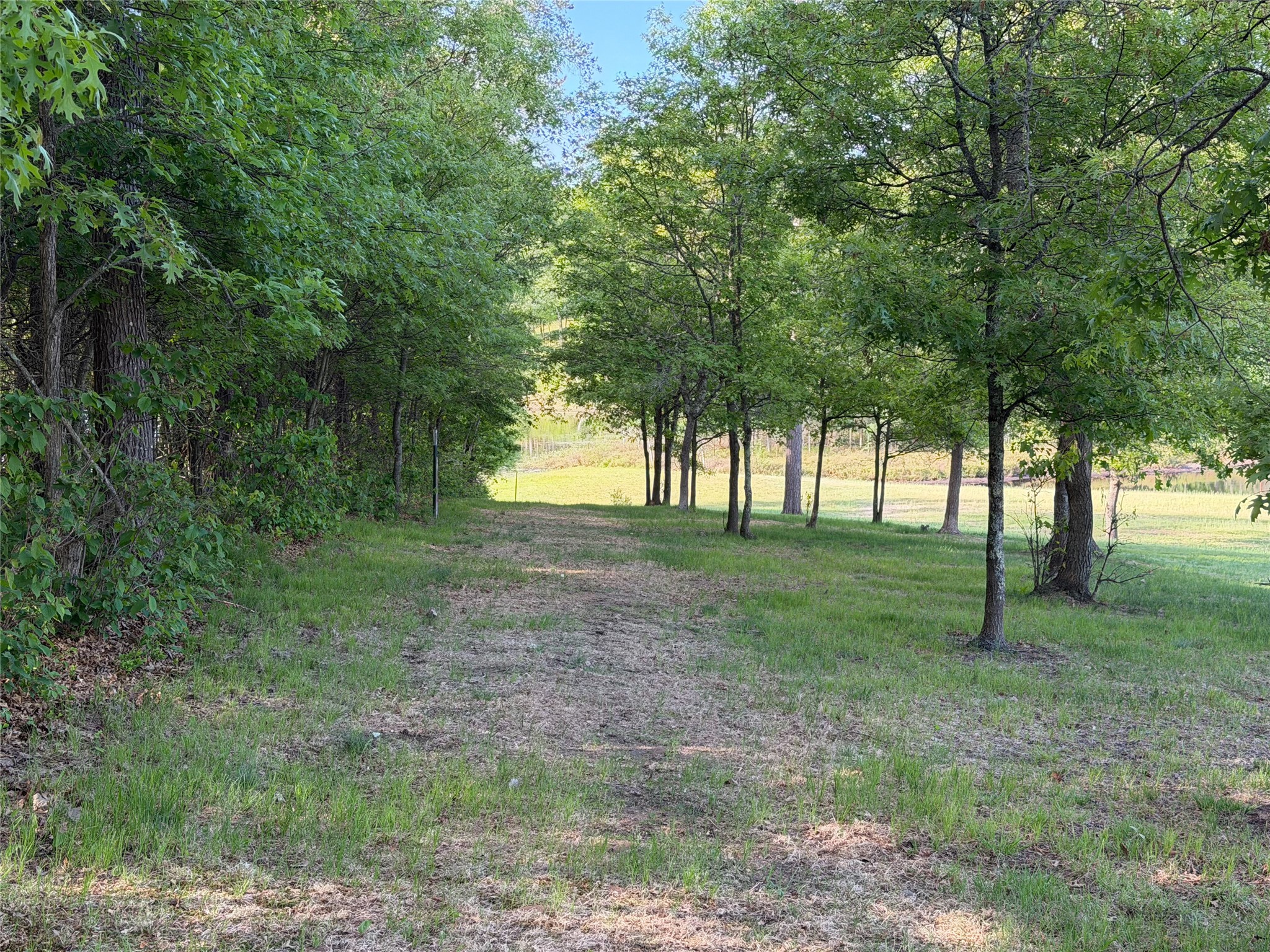 11702 East Mail Road Property Photo 26