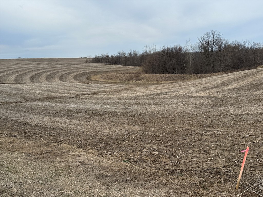 Tbd County Road Jj Property Photo 12