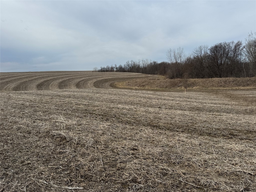 Tbd County Road Jj Property Photo 13