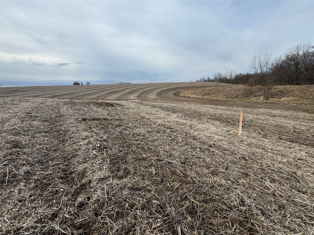 Tbd County Road Jj Property Photo 14