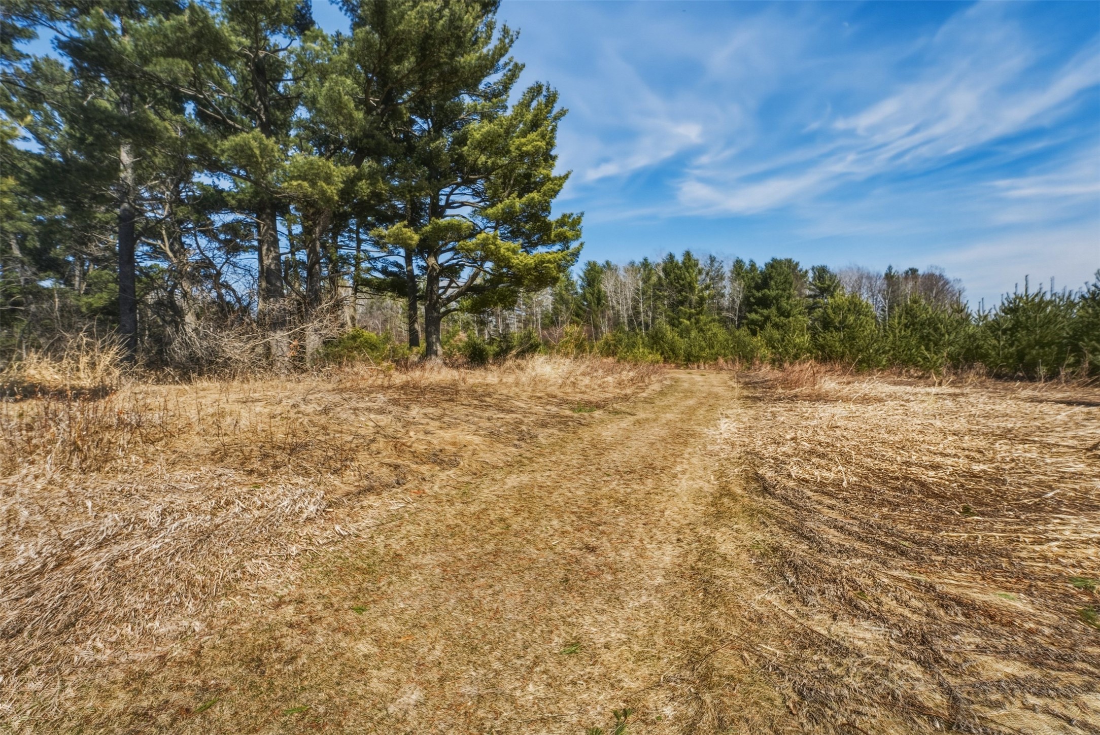 12095 County Highway Ee Property Photo 40