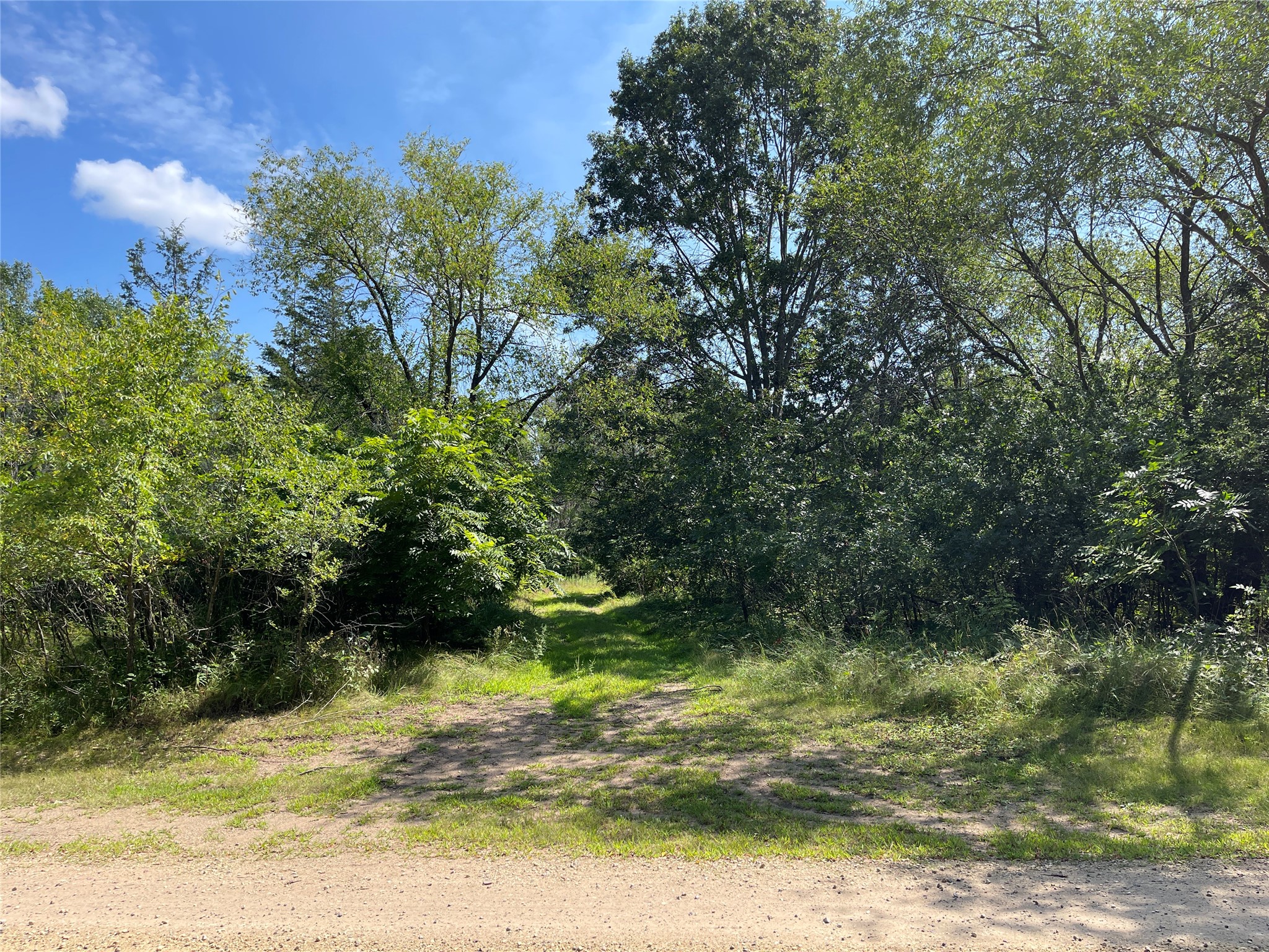 Lot #1 Mathews Drive Property Photo 13
