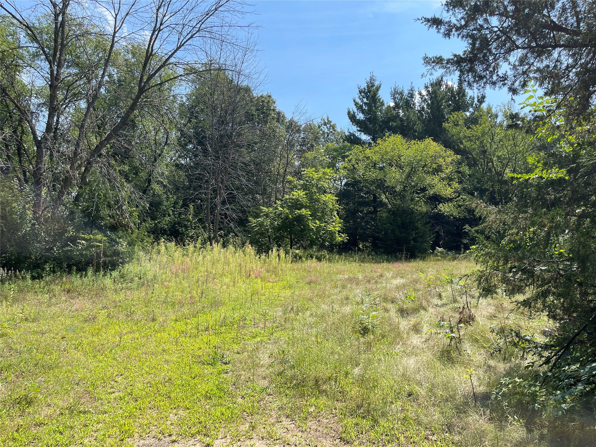 Lot #1 Mathews Drive Property Photo 14