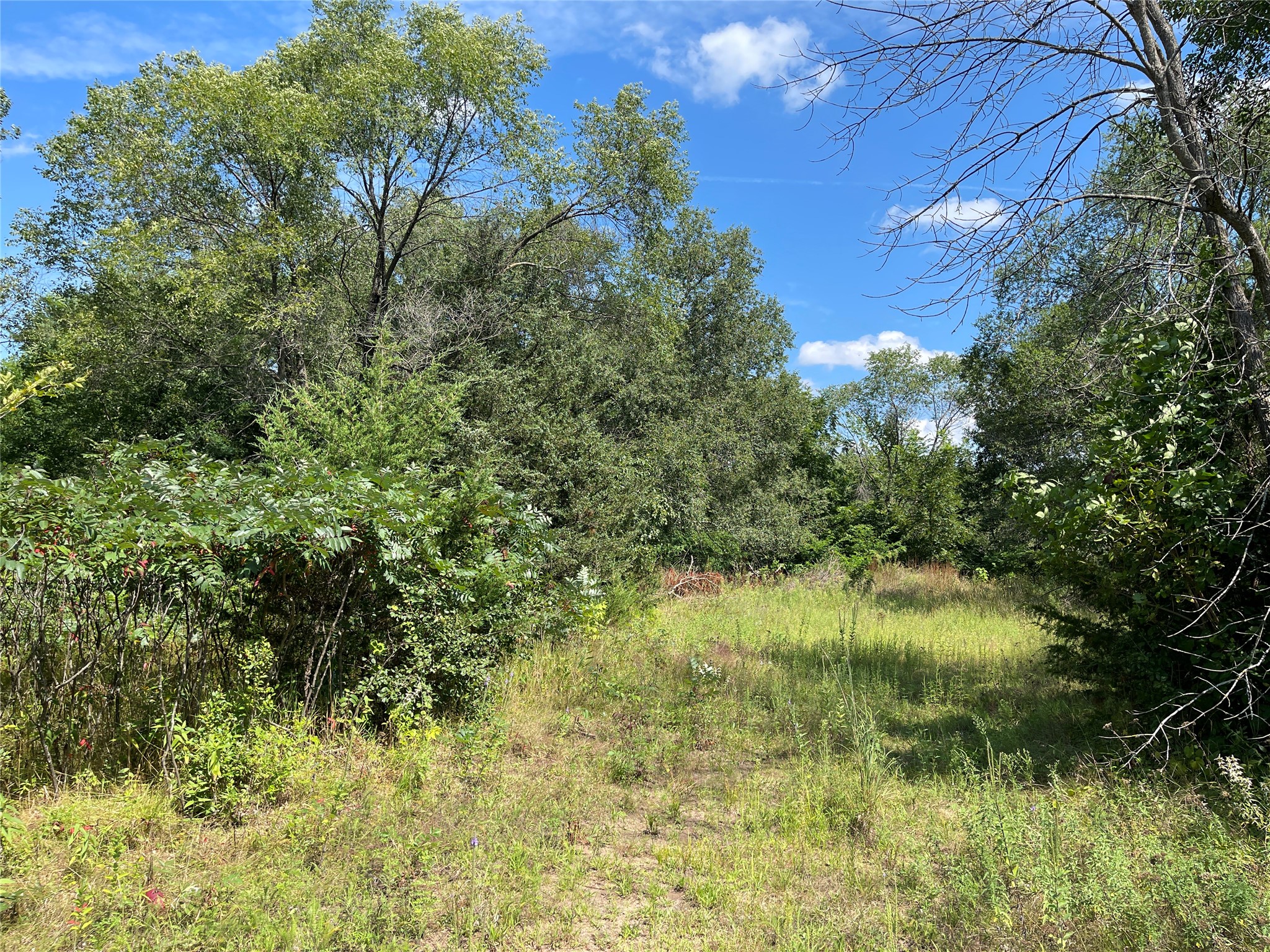 Lot #1 Mathews Drive Property Photo 15