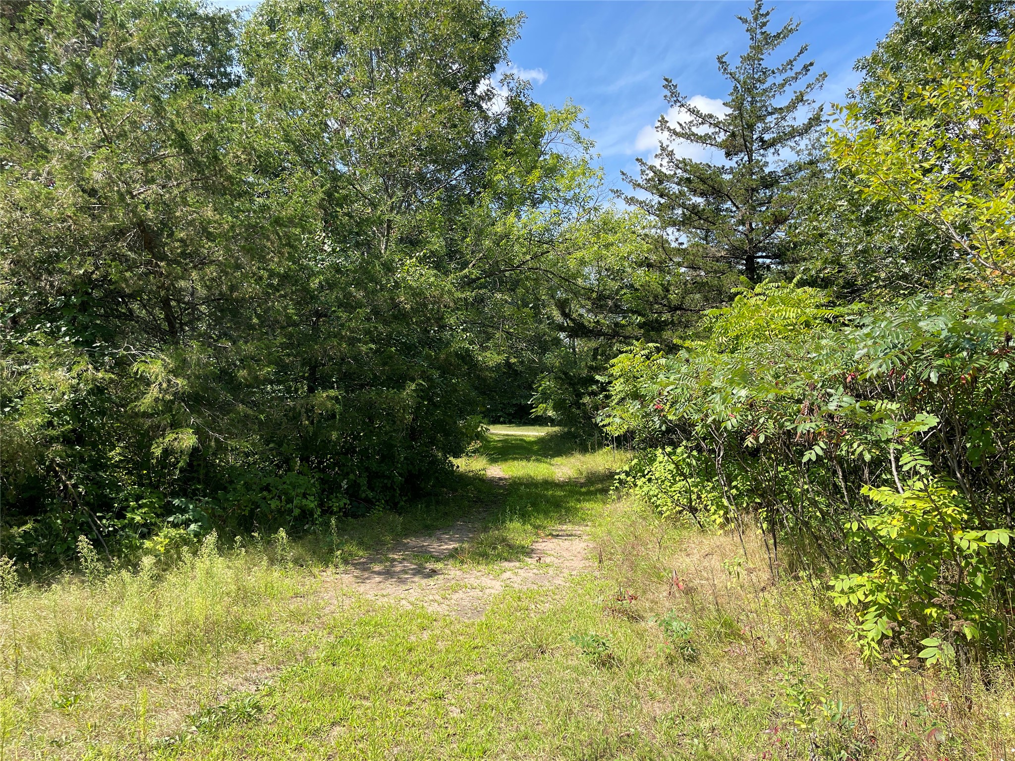 Lot #1 Mathews Drive Property Photo 16