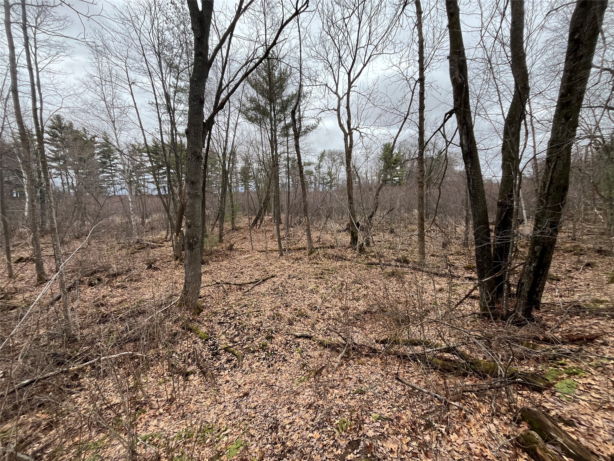 Tbd Ten Mile Drive Property Photo 17