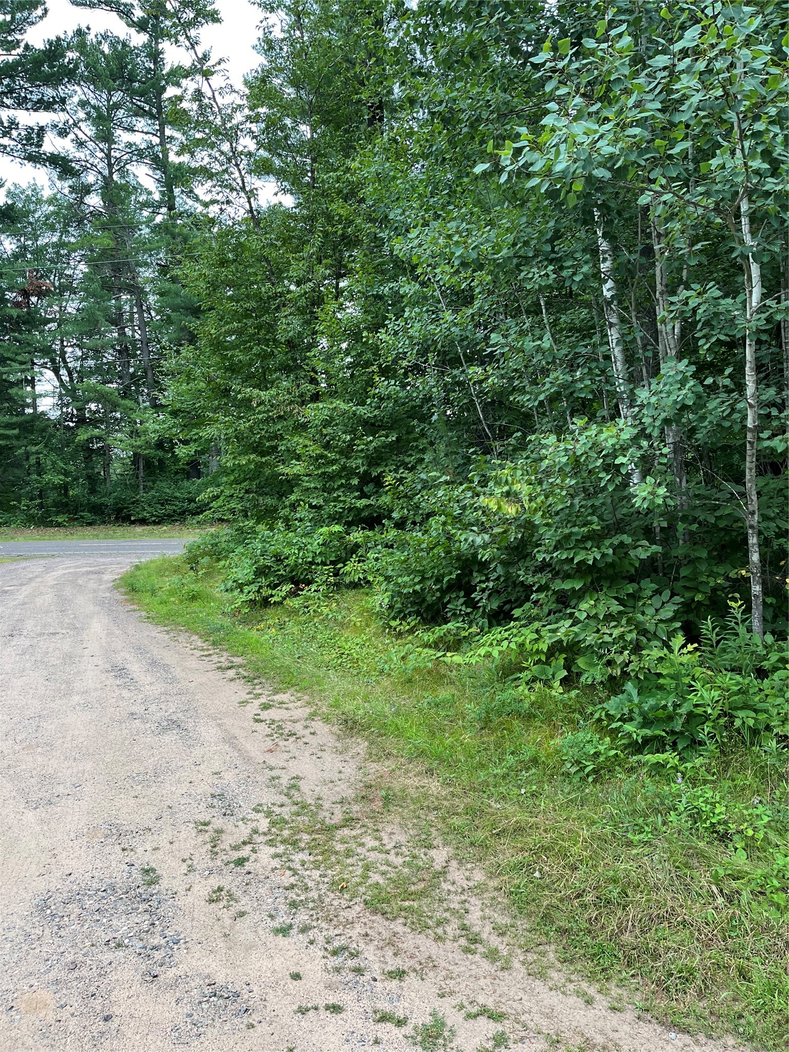 16876 Southview Trail Property Photo 3