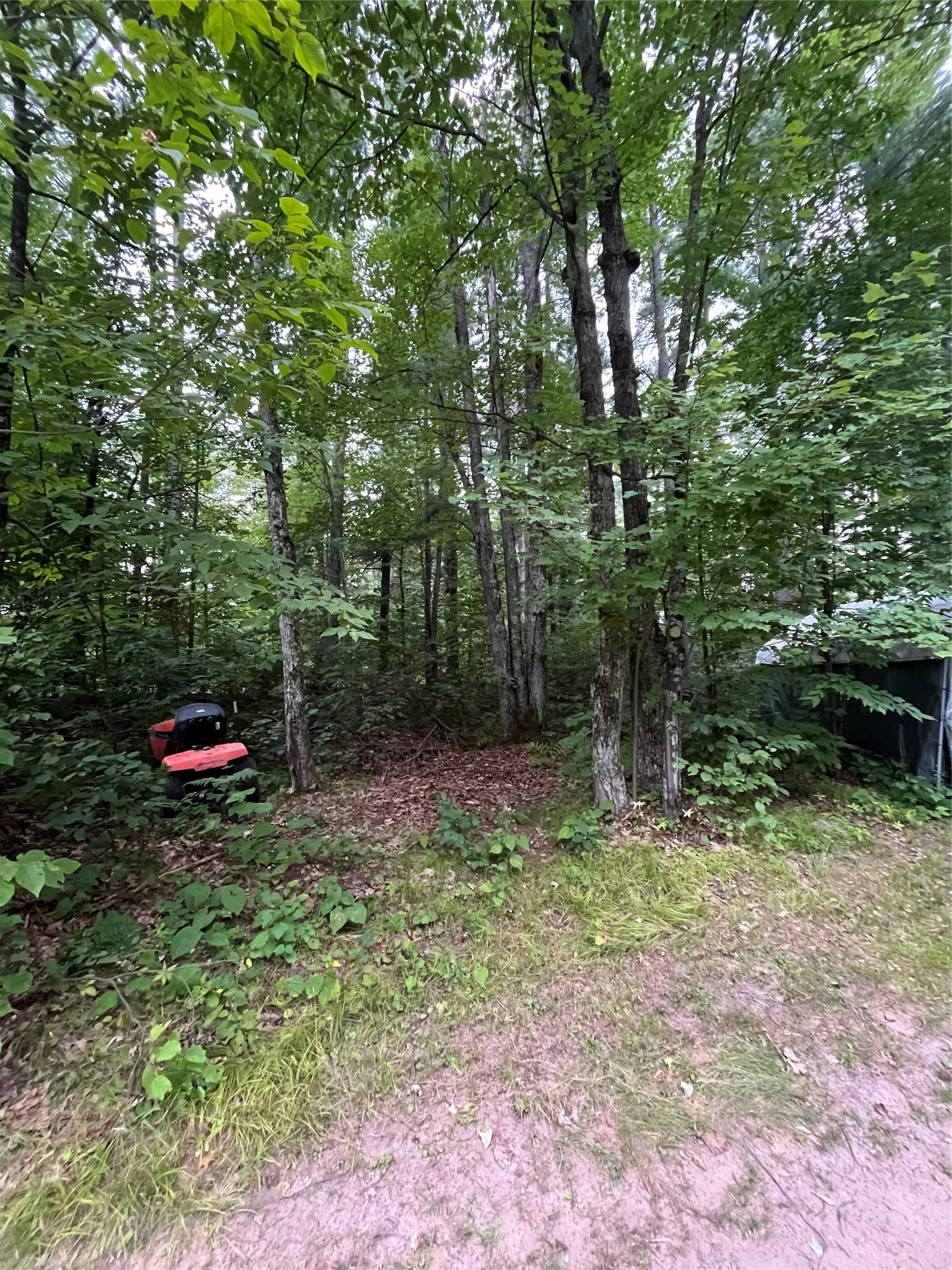 16876 Southview Trail Property Photo 4