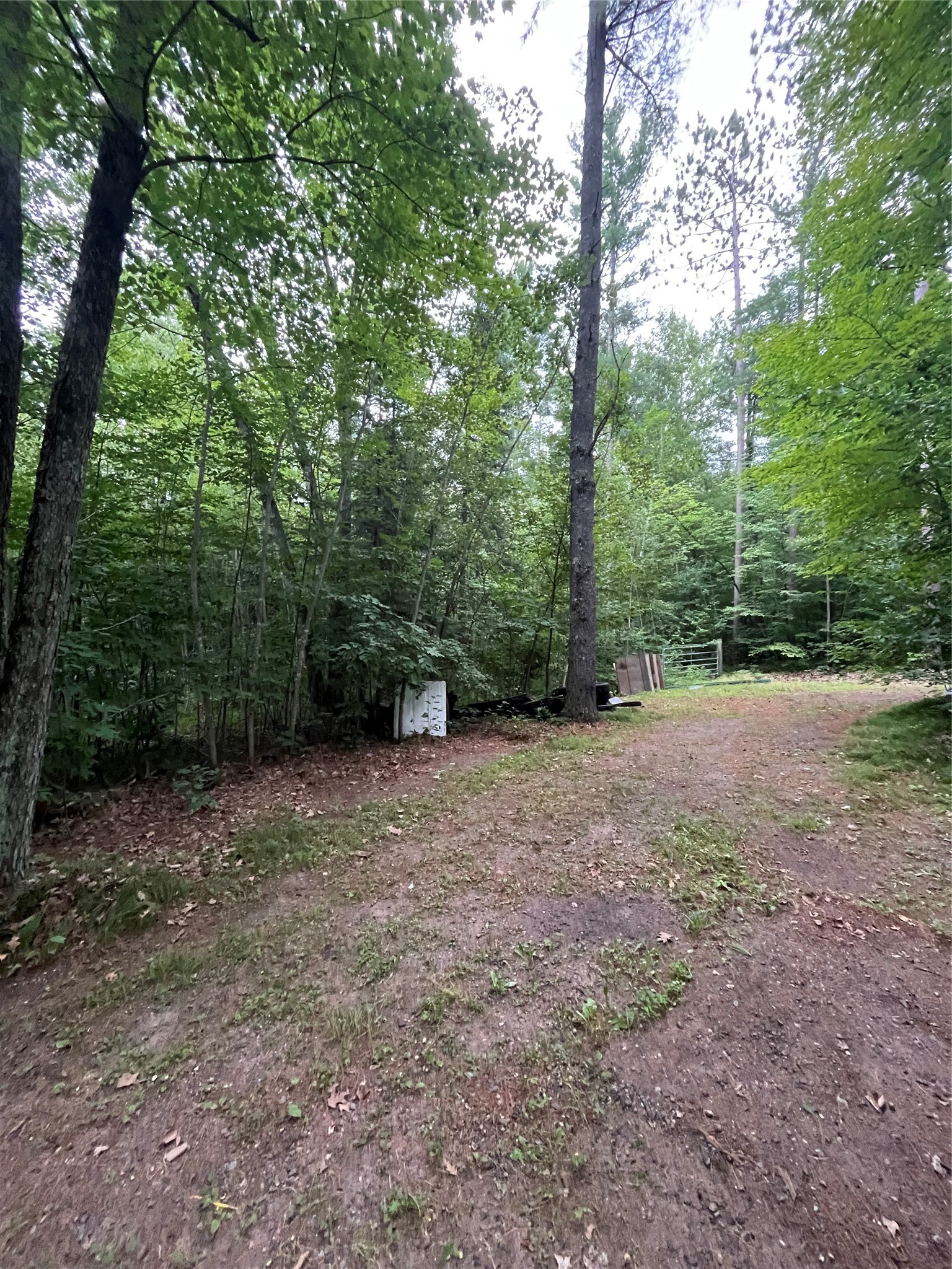 16876 Southview Trail Property Photo 10