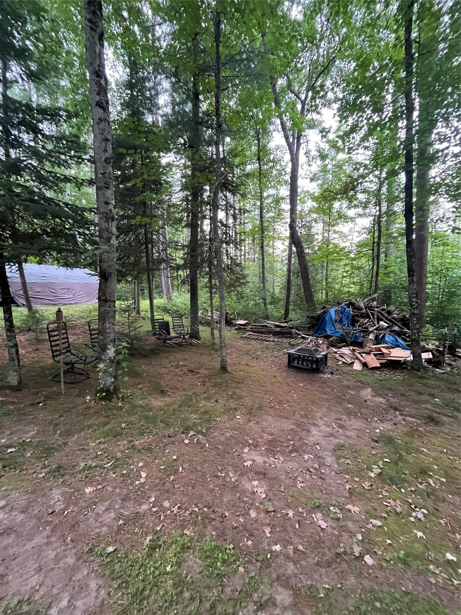 16876 Southview Trail Property Photo 11