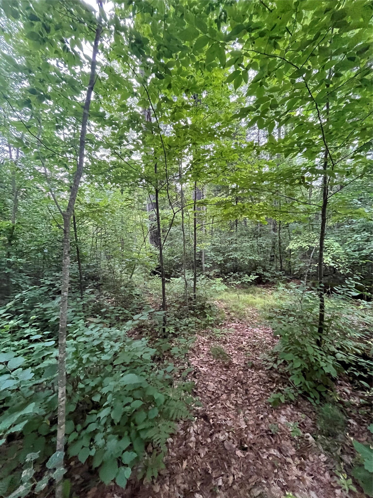 16876 Southview Trail Property Photo 12