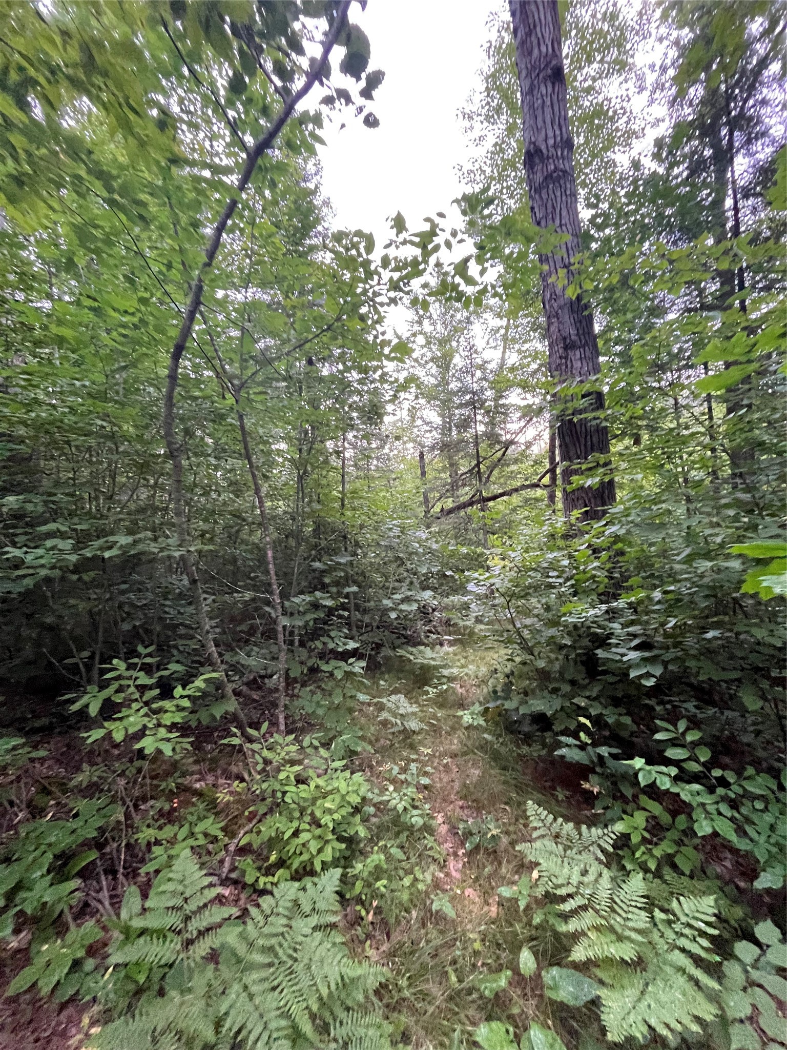 16876 Southview Trail Property Photo 15