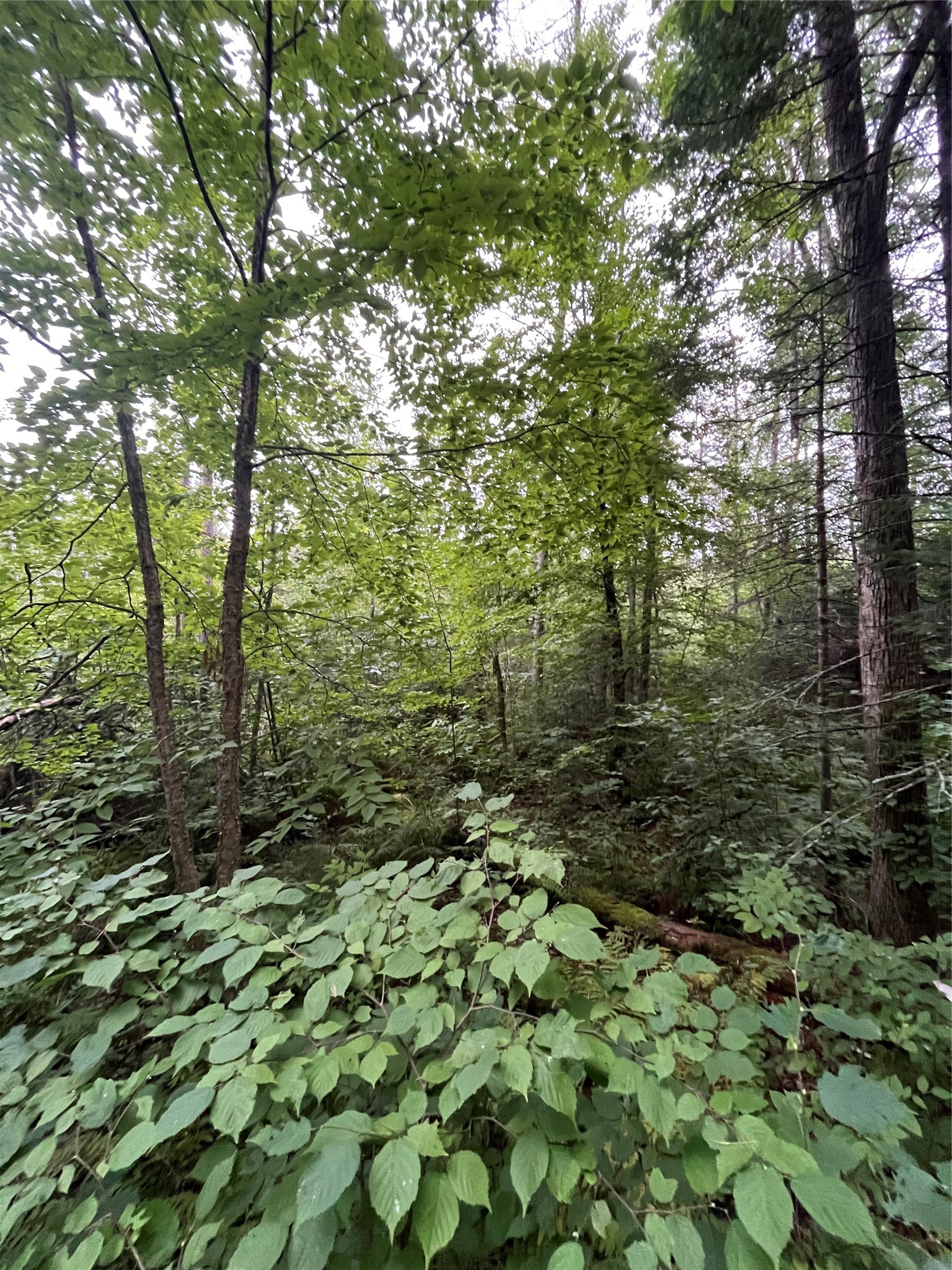 16876 Southview Trail Property Photo 16