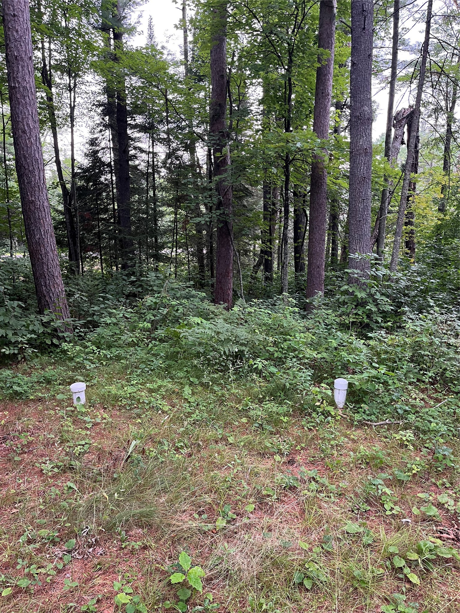 16876 Southview Trail Property Photo 18