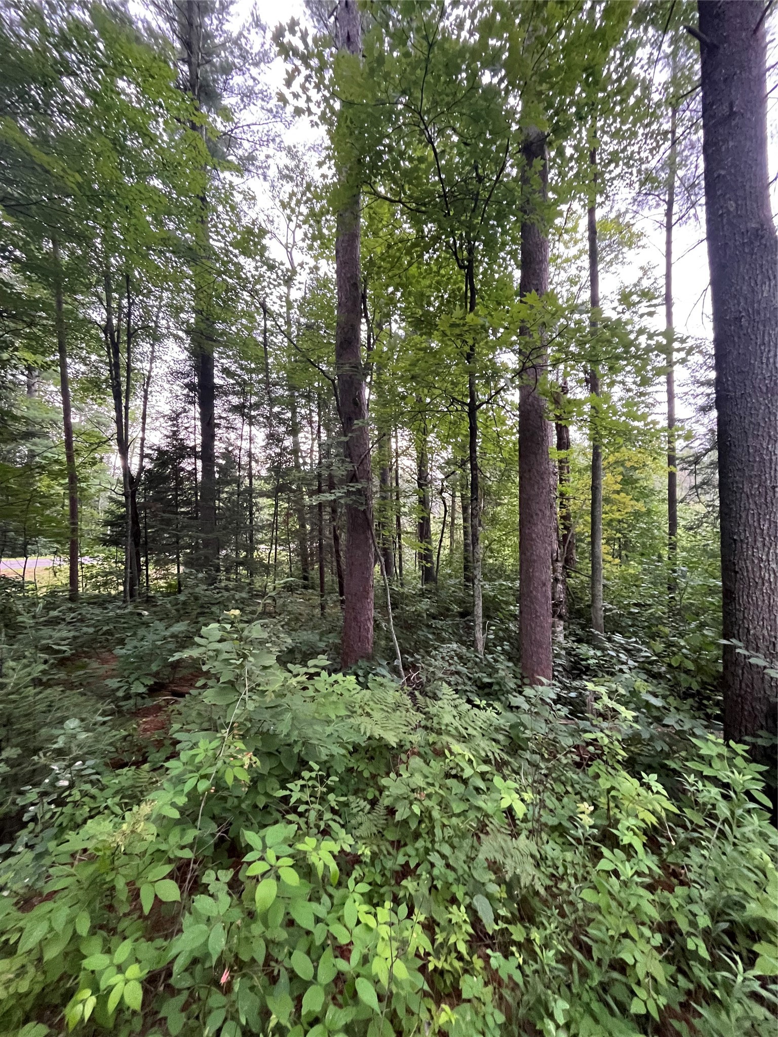 16876 Southview Trail Property Photo 20