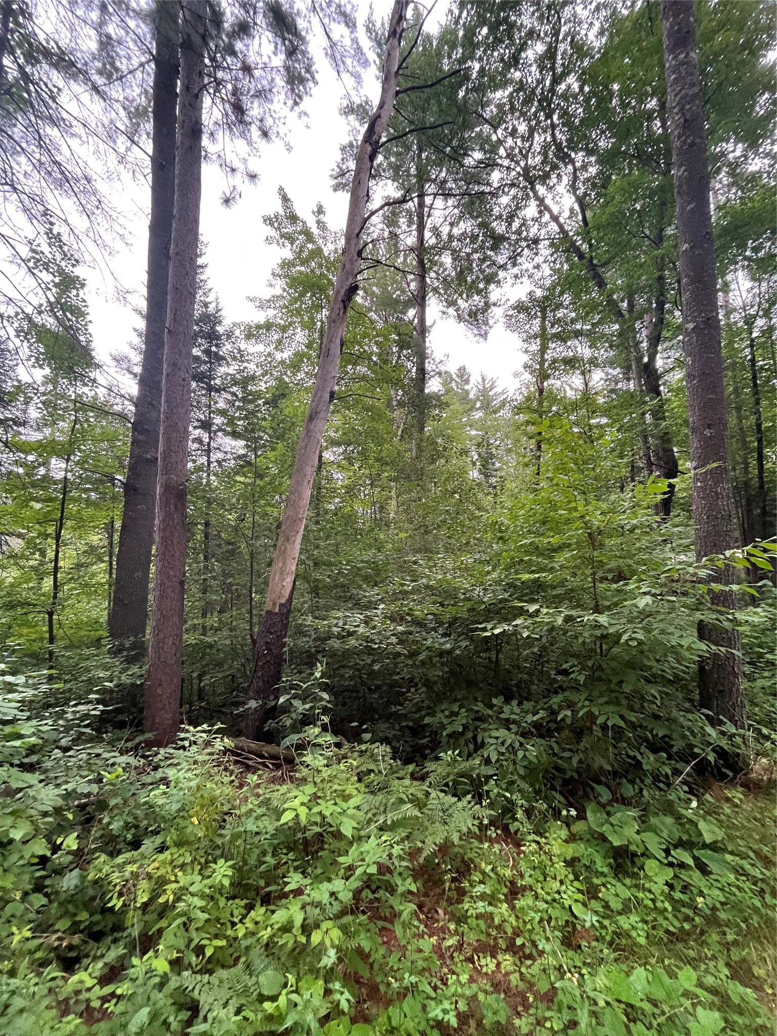 16876 Southview Trail Property Photo 21