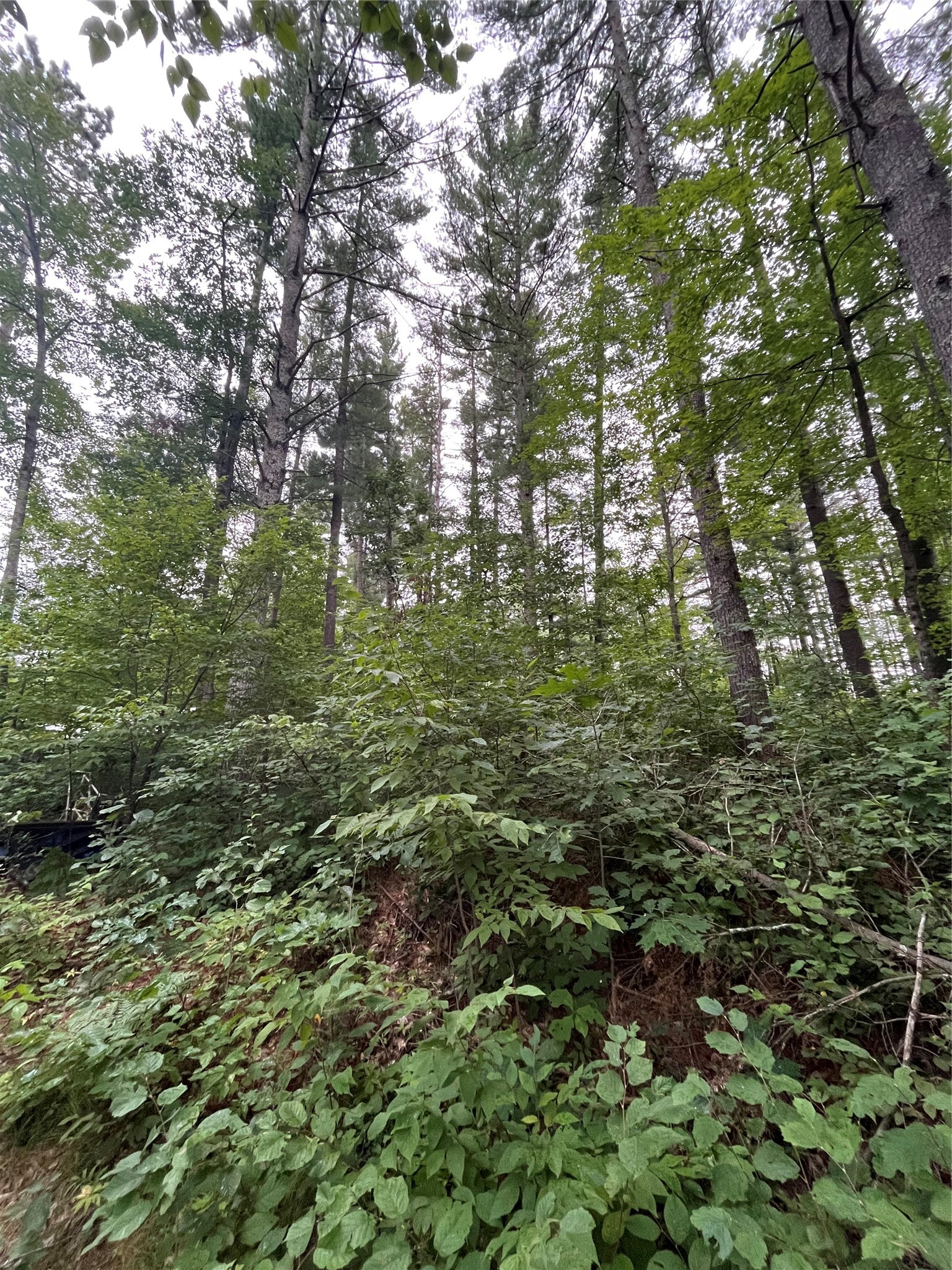 16876 Southview Trail Property Photo 23