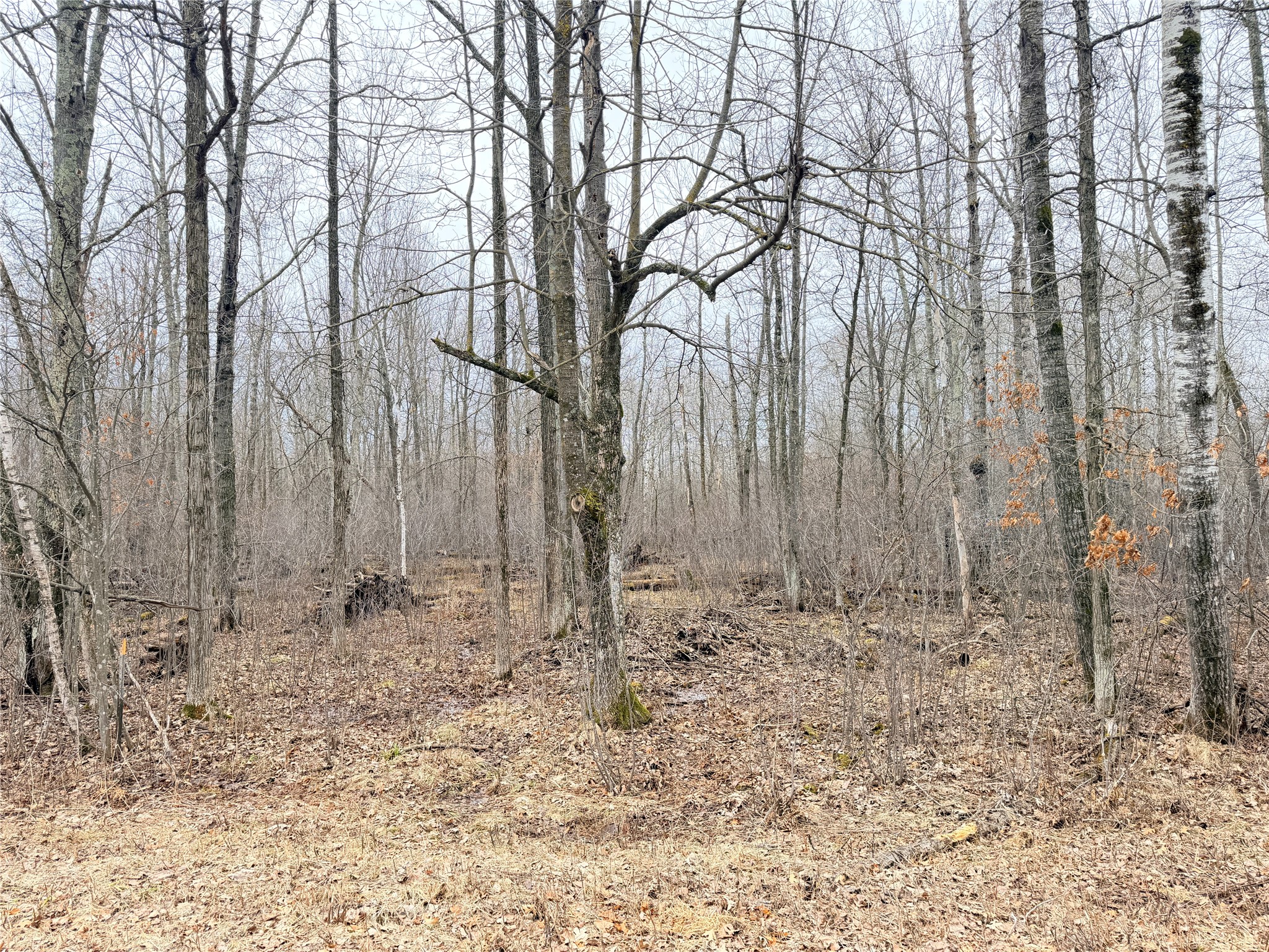 Lot 20 28 7/8 Avenue Property Photo 2