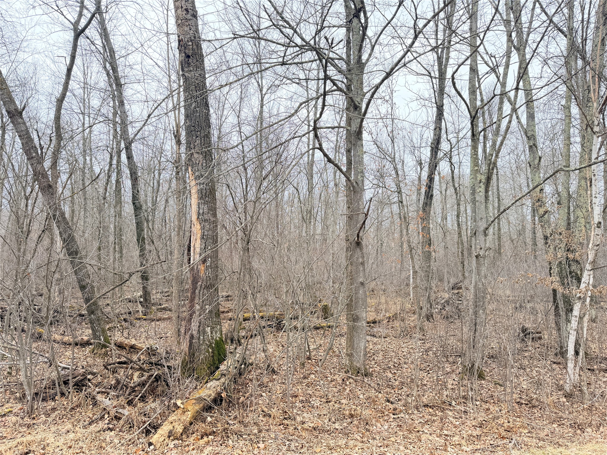 Lot 20 28 7/8 Avenue Property Photo 3