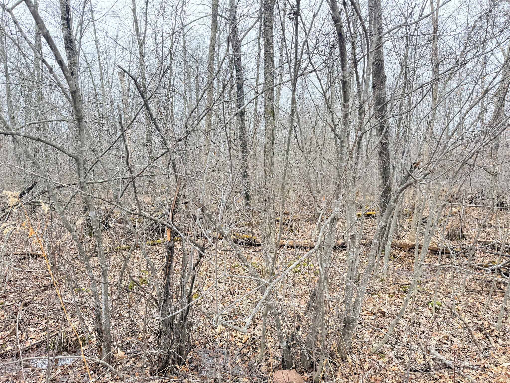 Lot 20 28 7/8 Avenue Property Photo 4