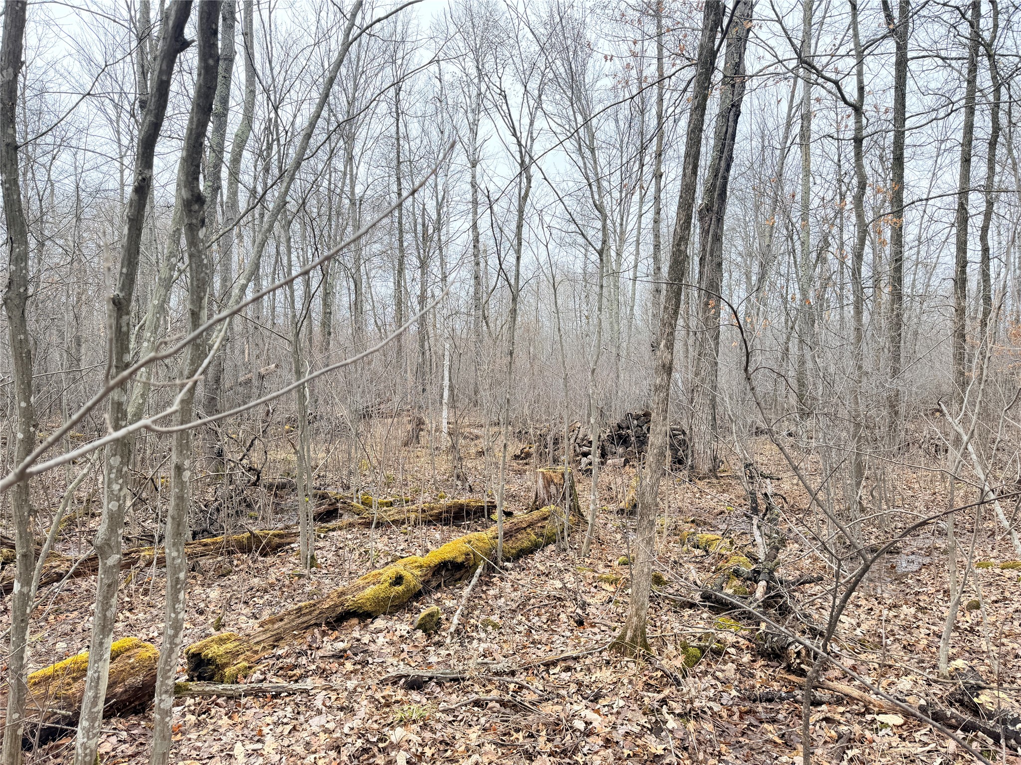 Lot 20 28 7/8 Avenue Property Photo 6