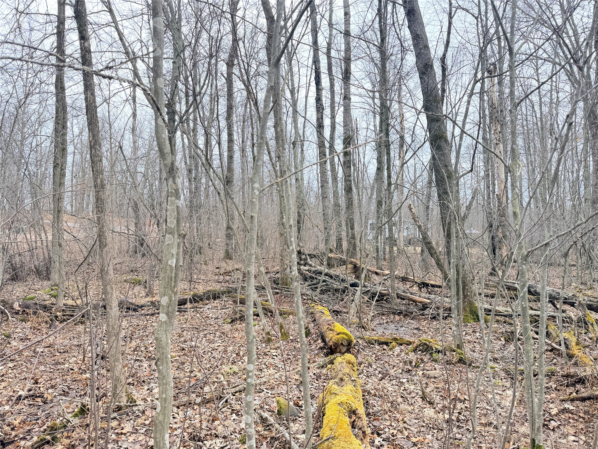Lot 20 28 7/8 Avenue Property Photo 8