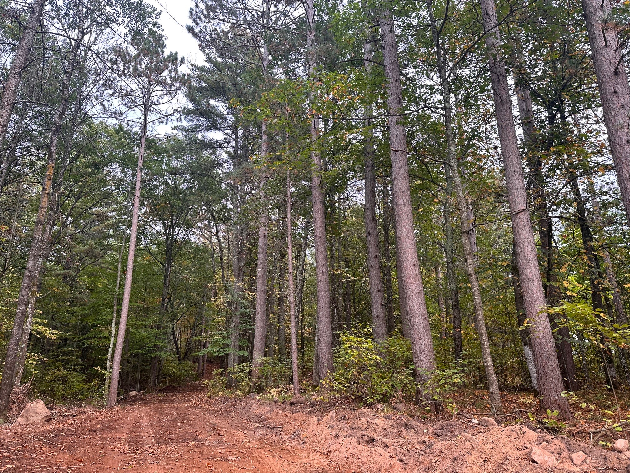 0 N Sabin Road Property Photo 1