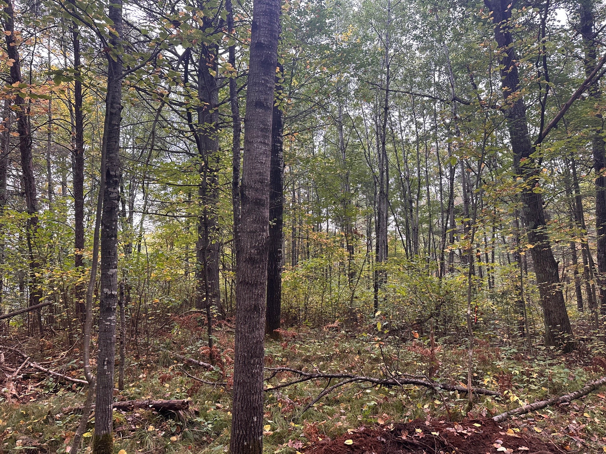 0 N Sabin Road Property Photo 3