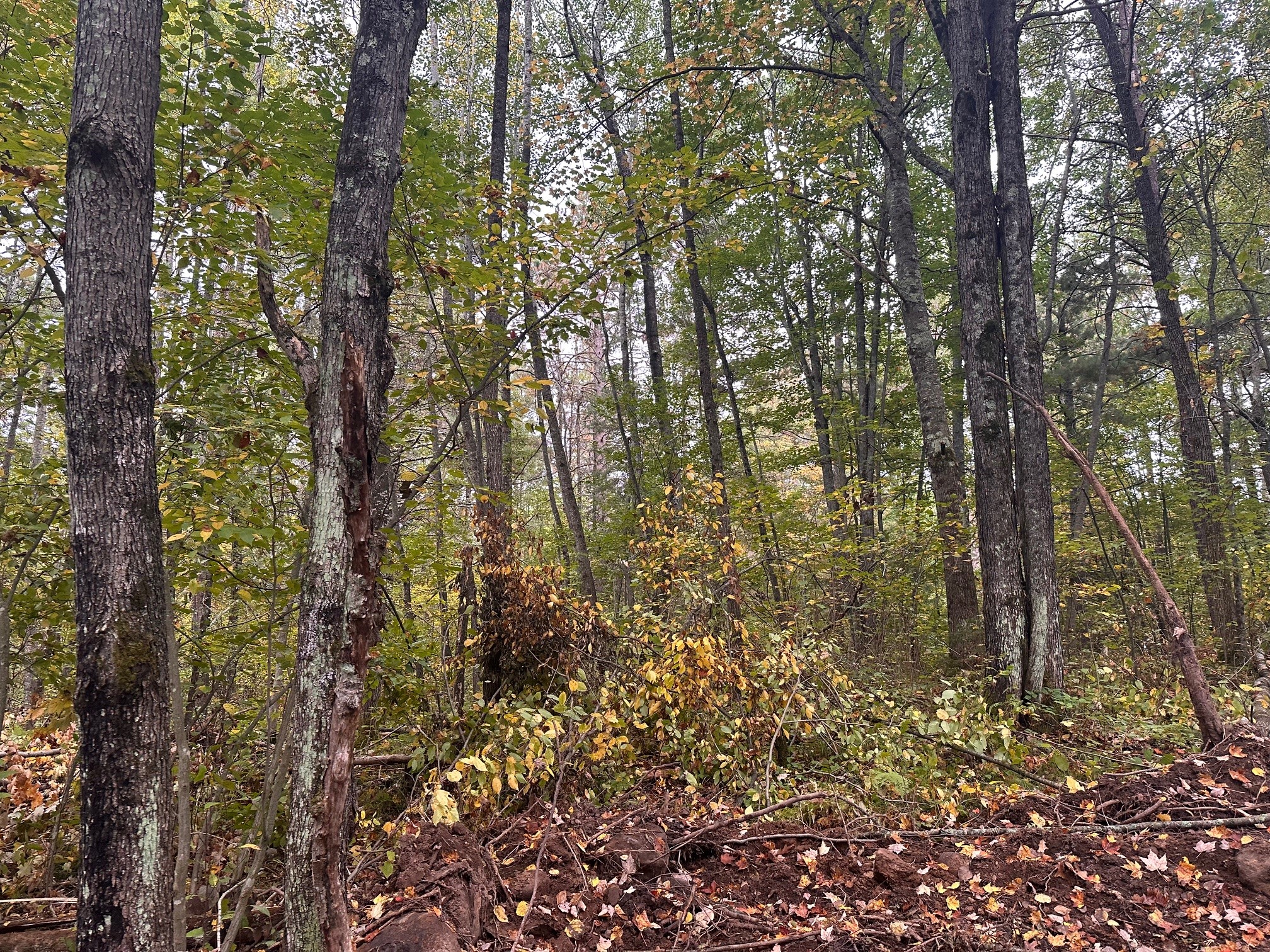 0 N Sabin Road Property Photo 4