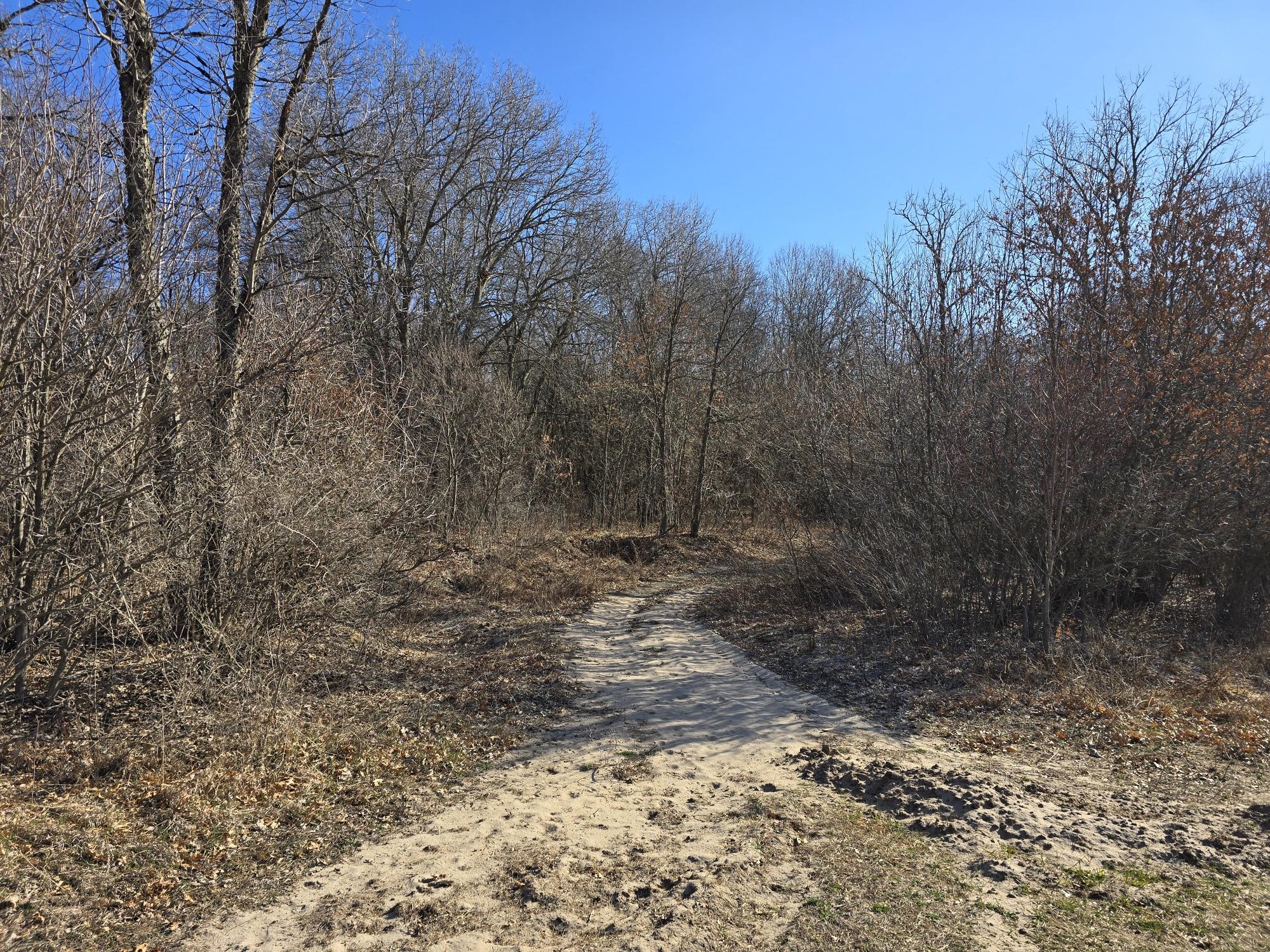 Lot 2 Buck Rub Road Property Photo 4