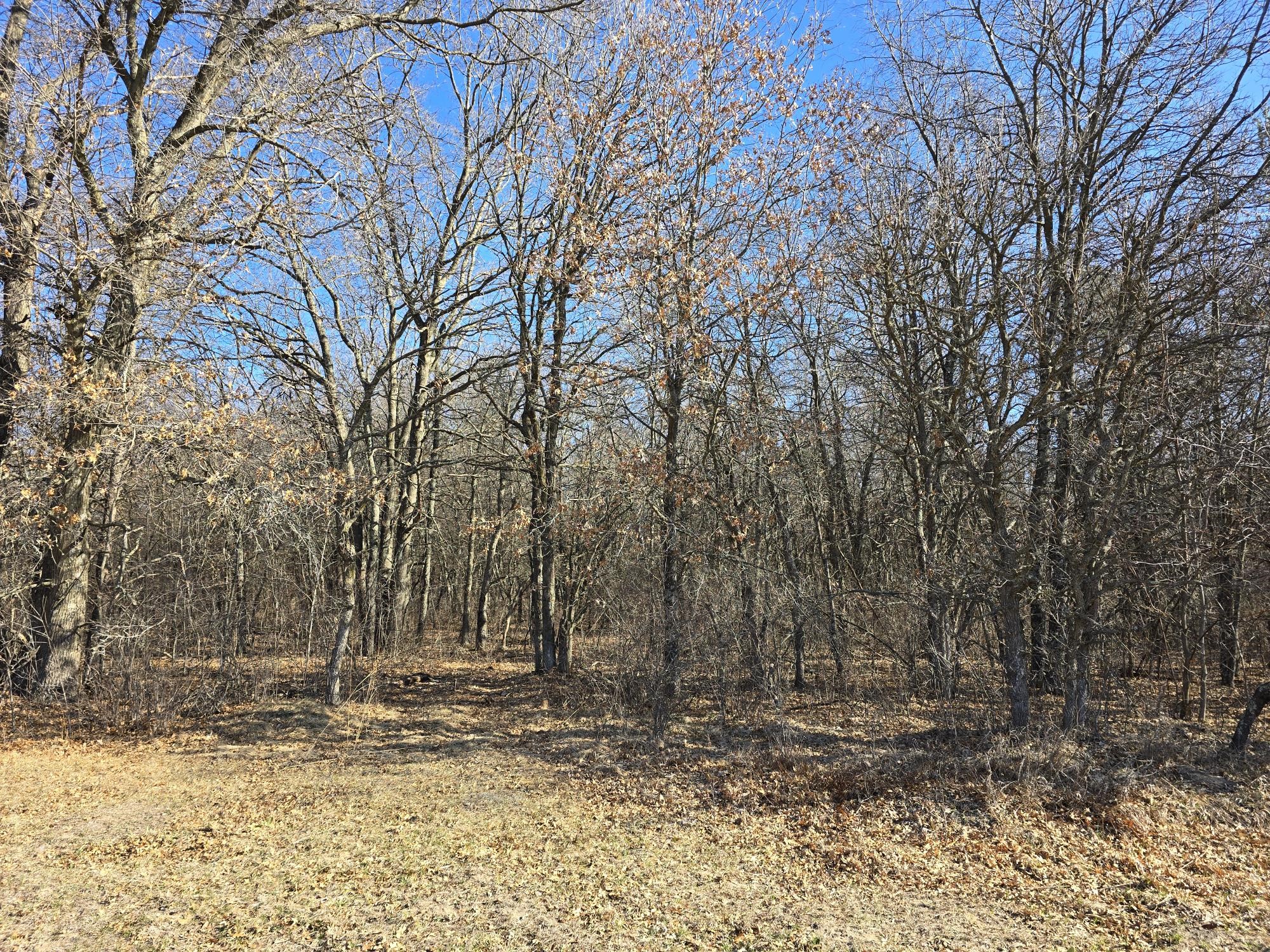 Lot 2 Buck Rub Road Property Photo 5