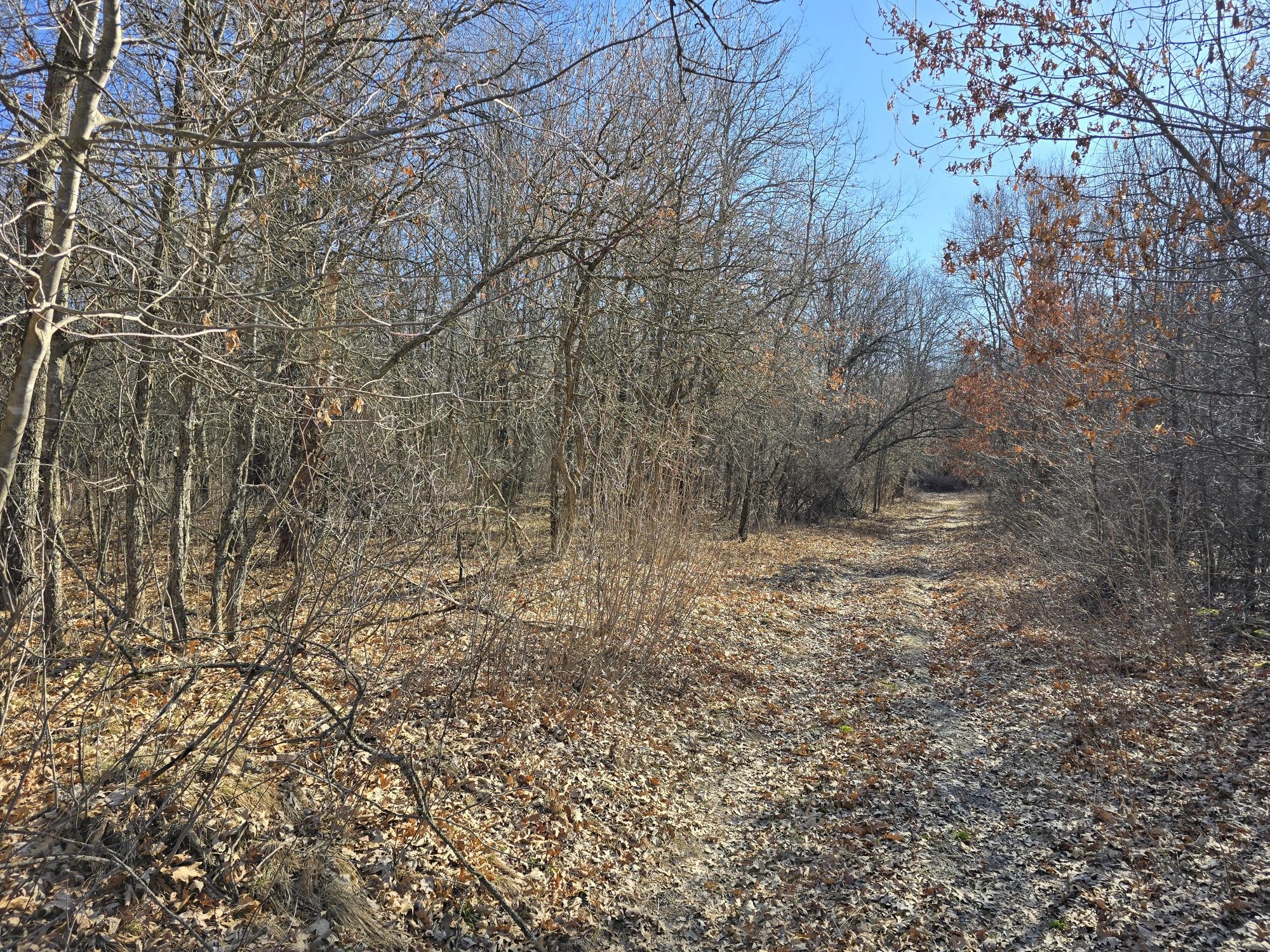 Lot 2 Buck Rub Road Property Photo 6